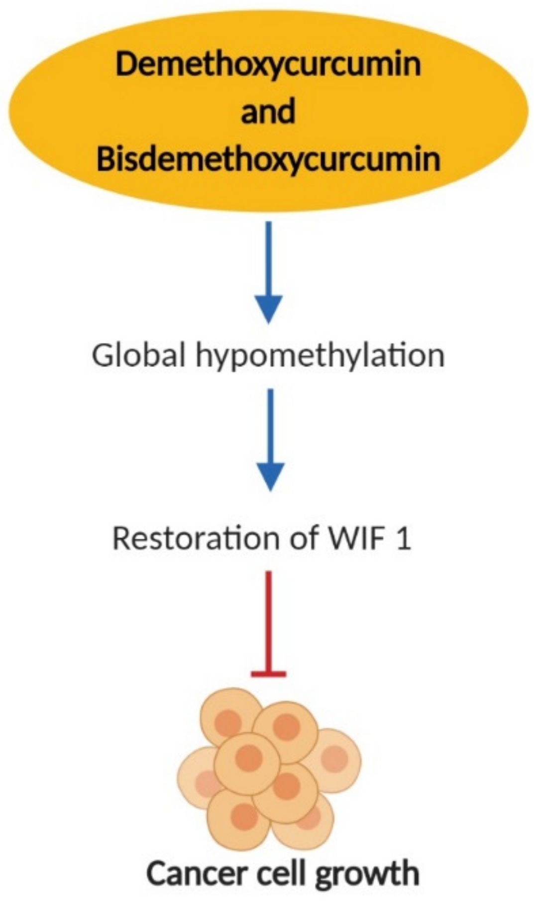Nutrients 11 02989 g004