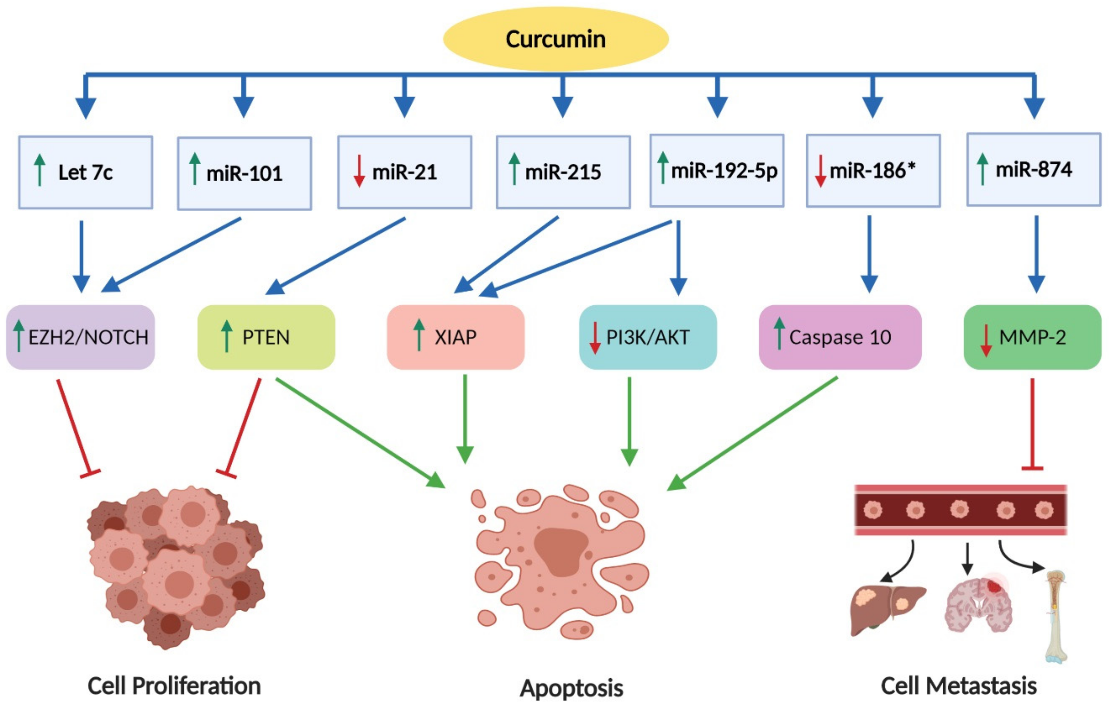 Nutrients 11 02989 g005