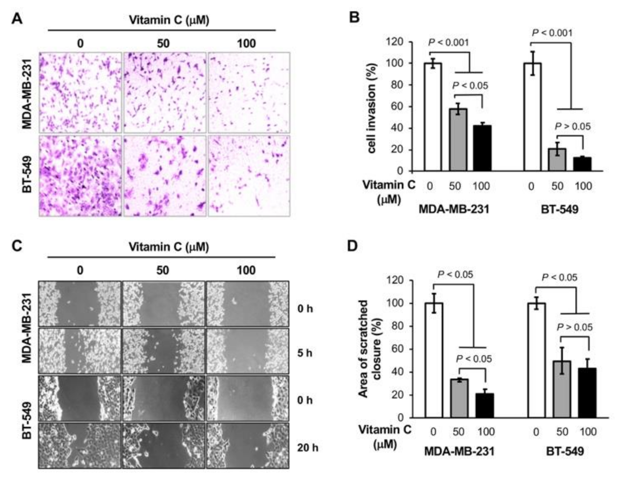 Nutrients 11 02997 g001 Nutrients 11 02997 g001