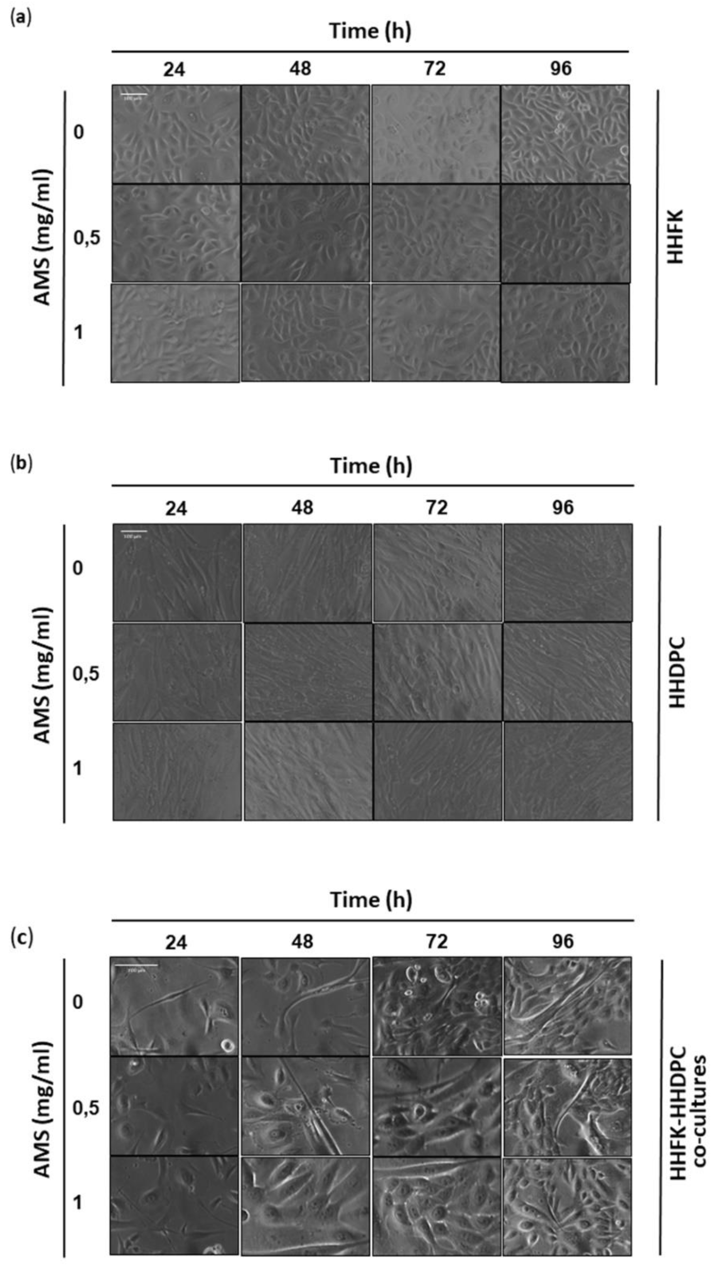 Nutrients 11 03041 g002