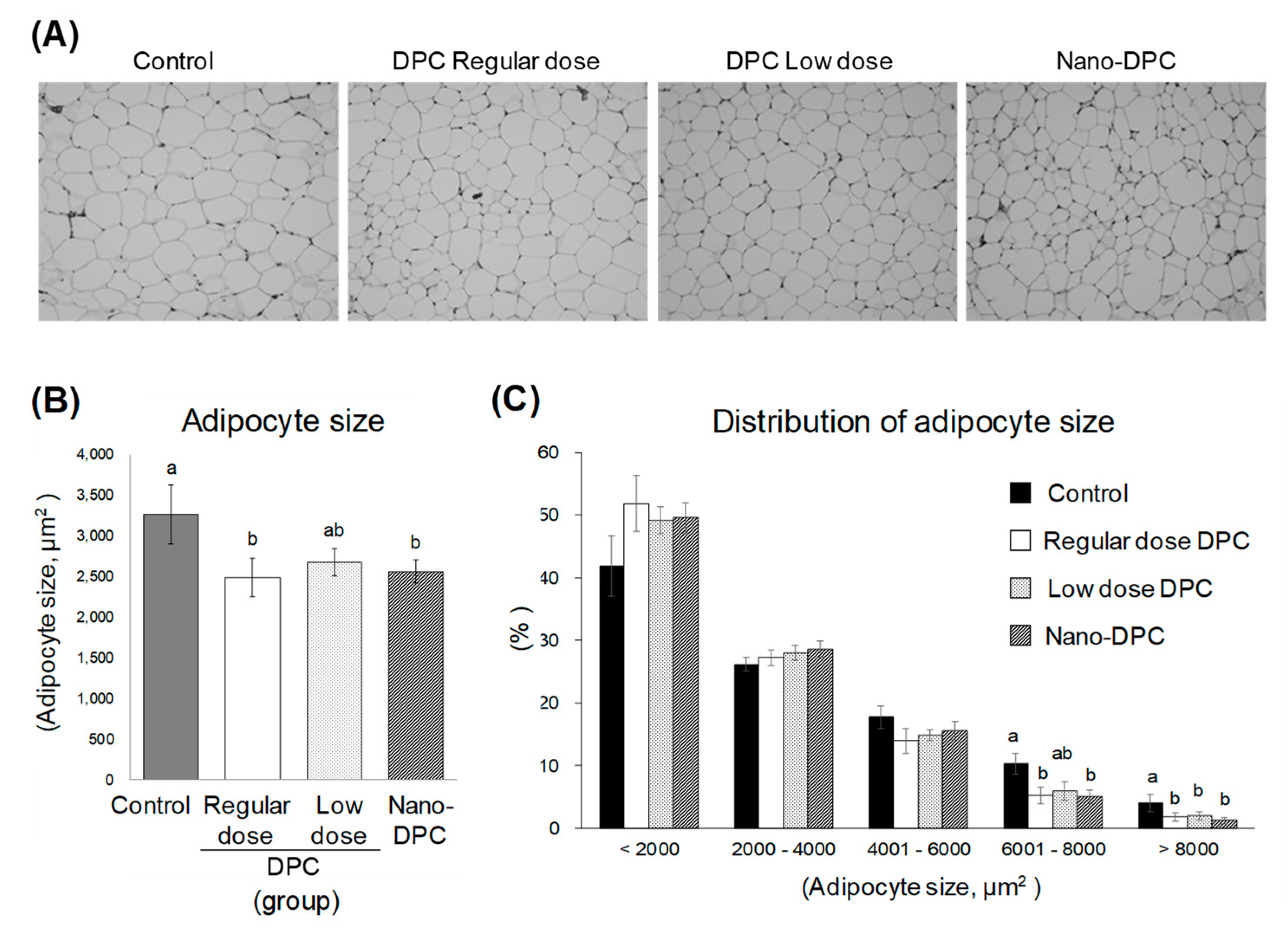 Nutrients 11 03053 g005 Nutrients 11 03053 g005