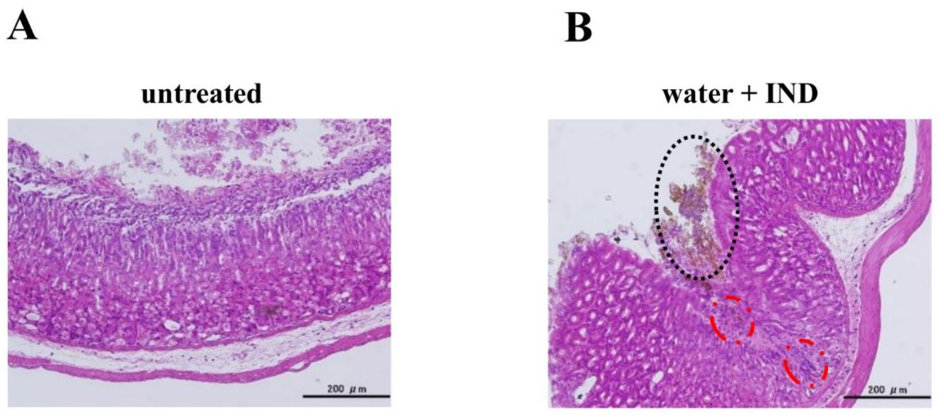 Nutrients 11 03058 g002