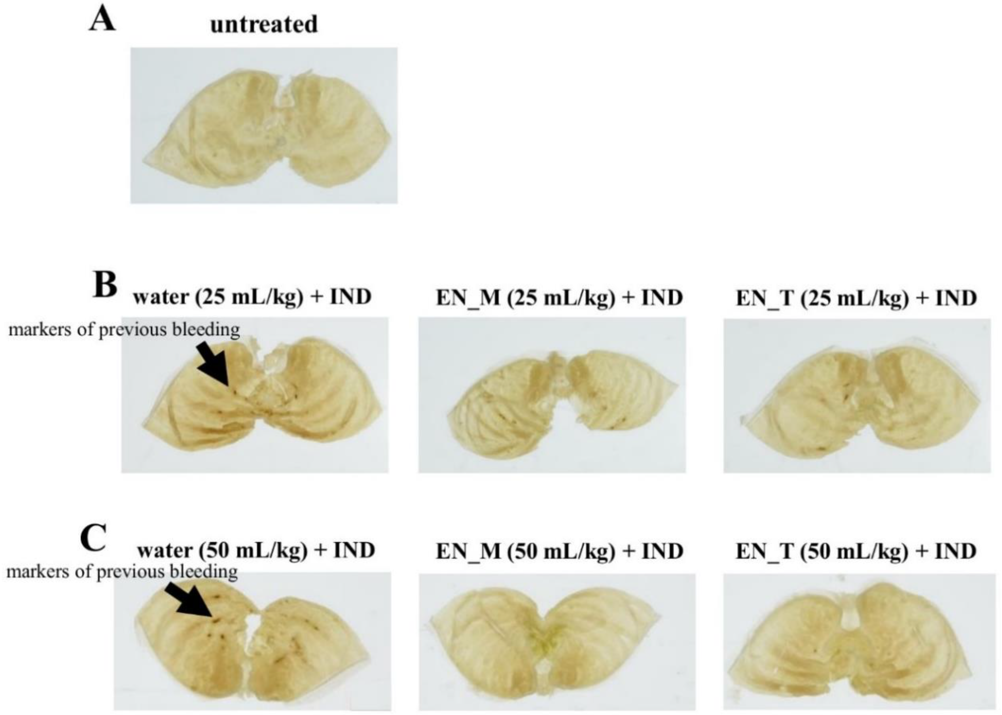 Nutrients 11 03058 g003