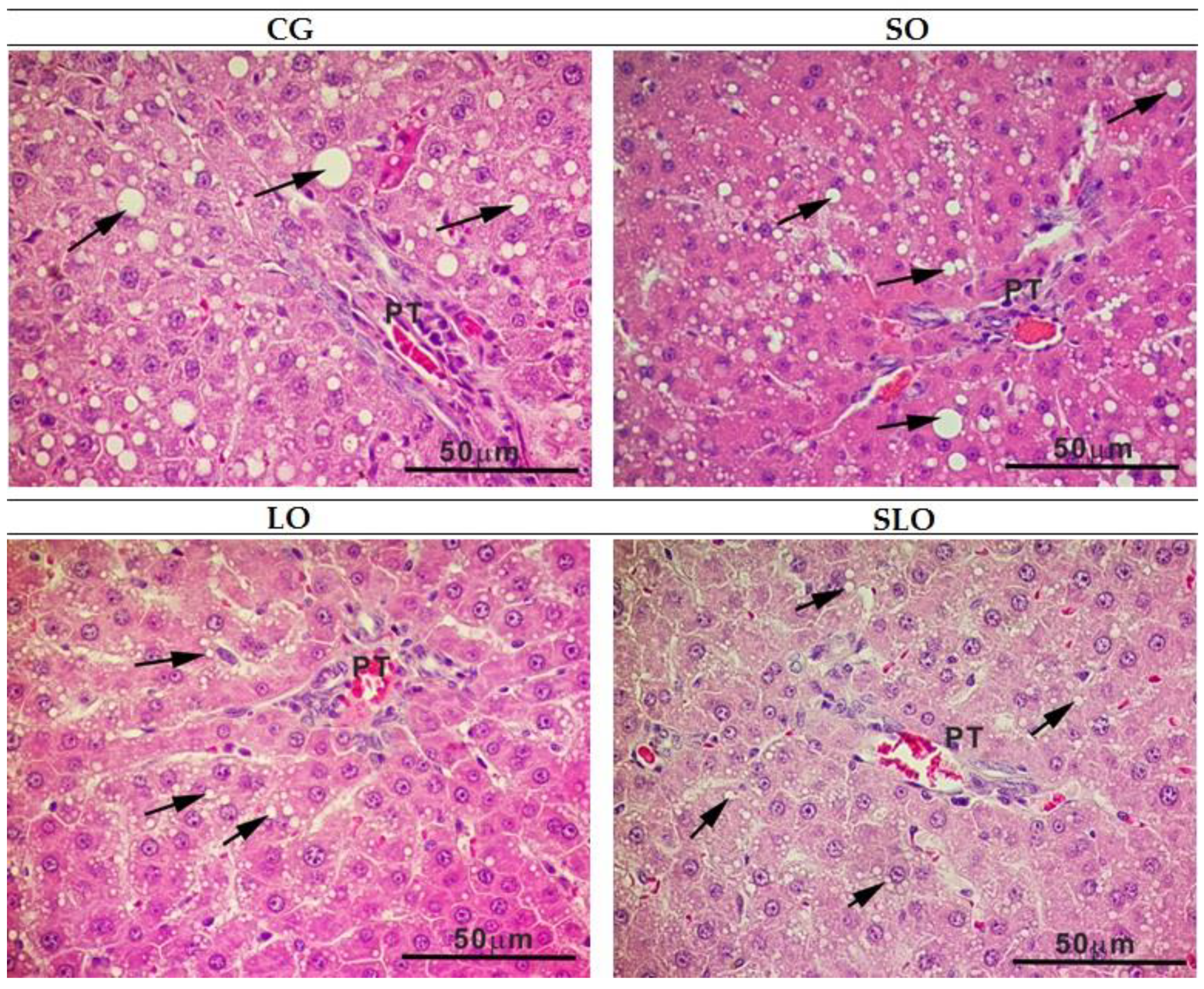 Nutrients 12 00009 g006