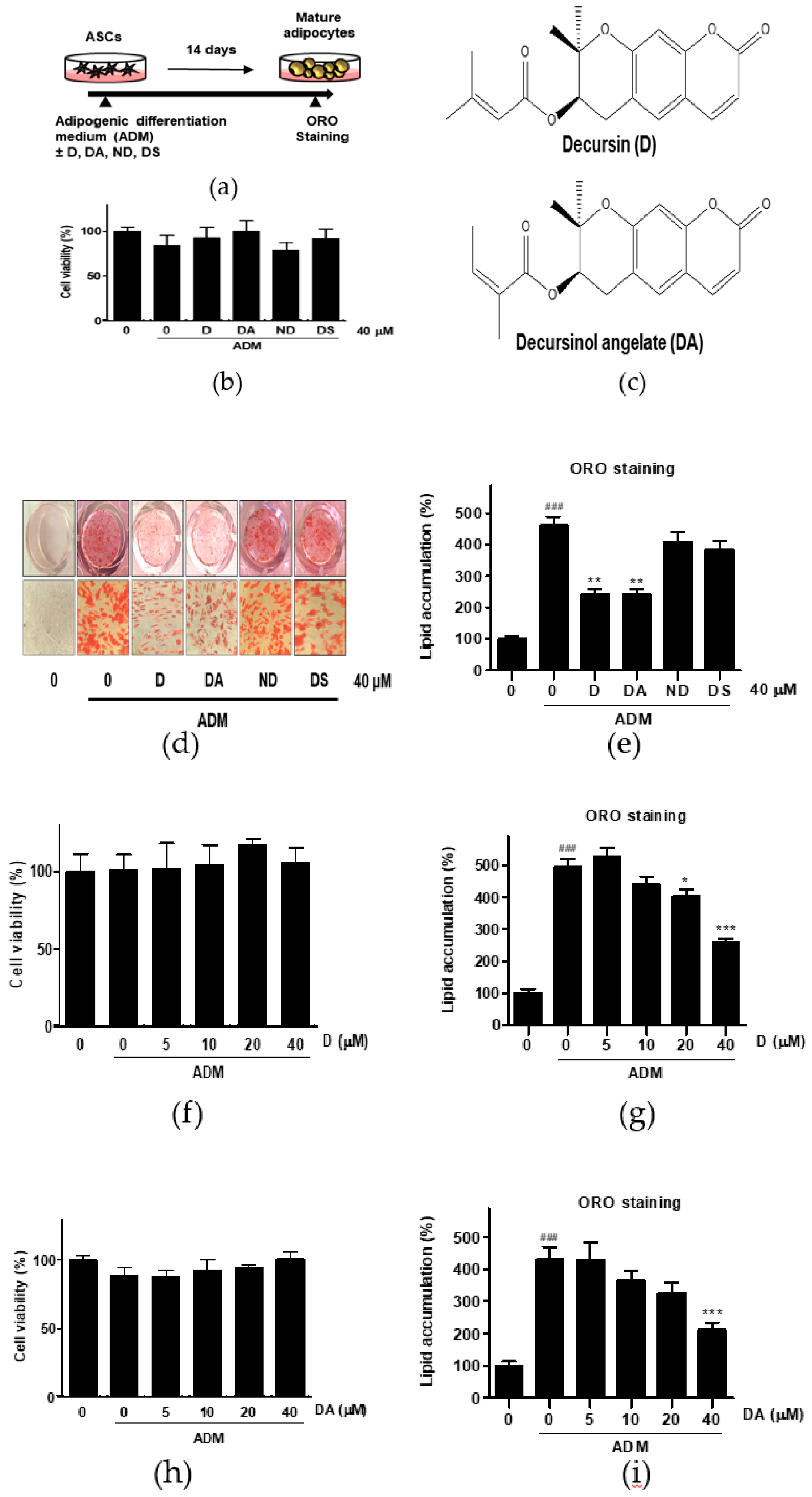 Nutrients 12 00013 g001