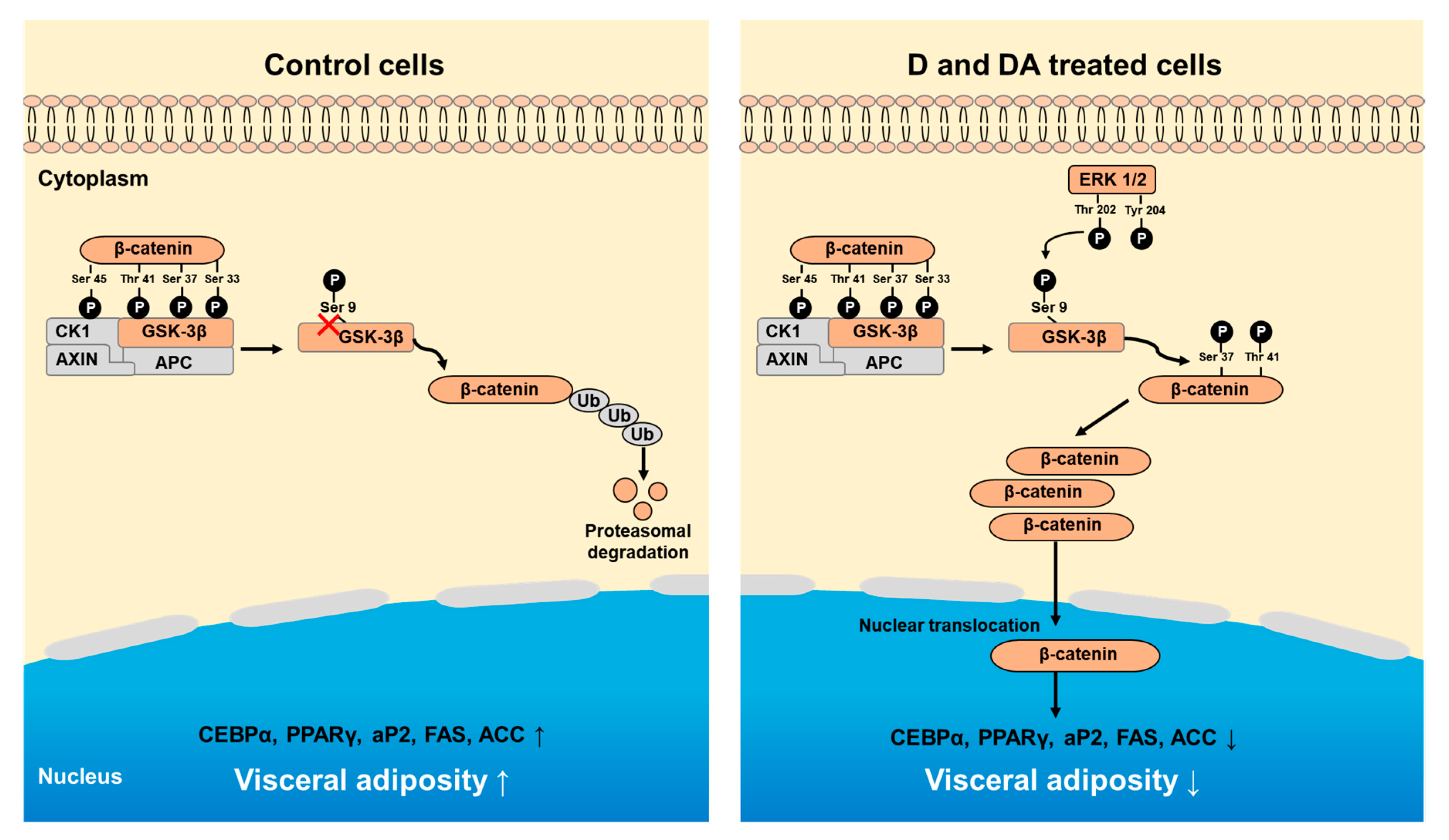 Nutrients 12 00013 g006