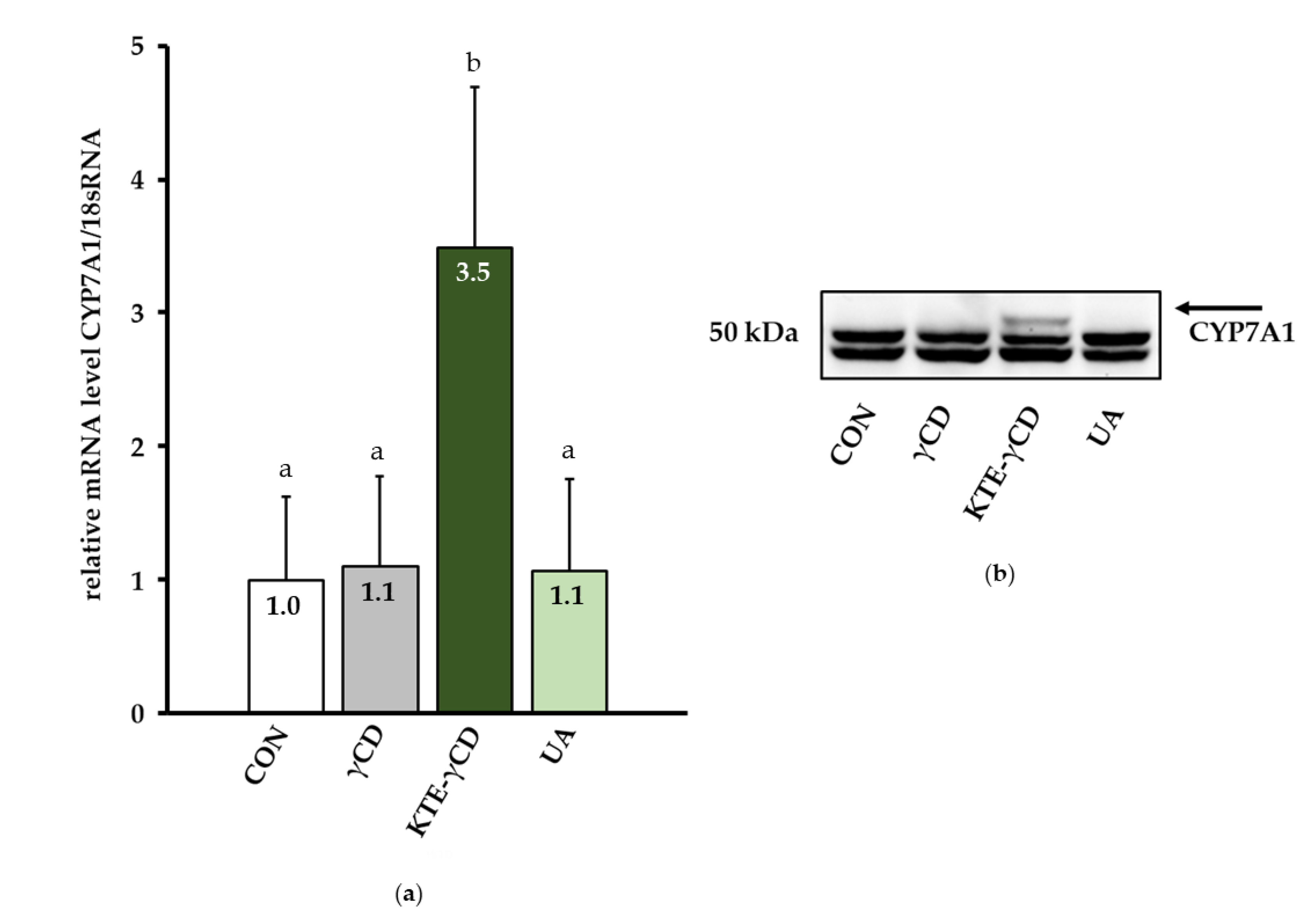 Nutrients 12 00040 g005 Nutrients 12 00040 g005