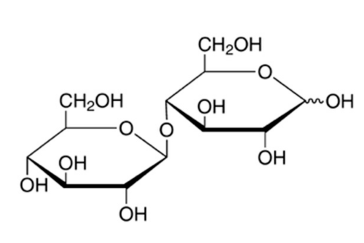 Nutrients 12 00064 g001