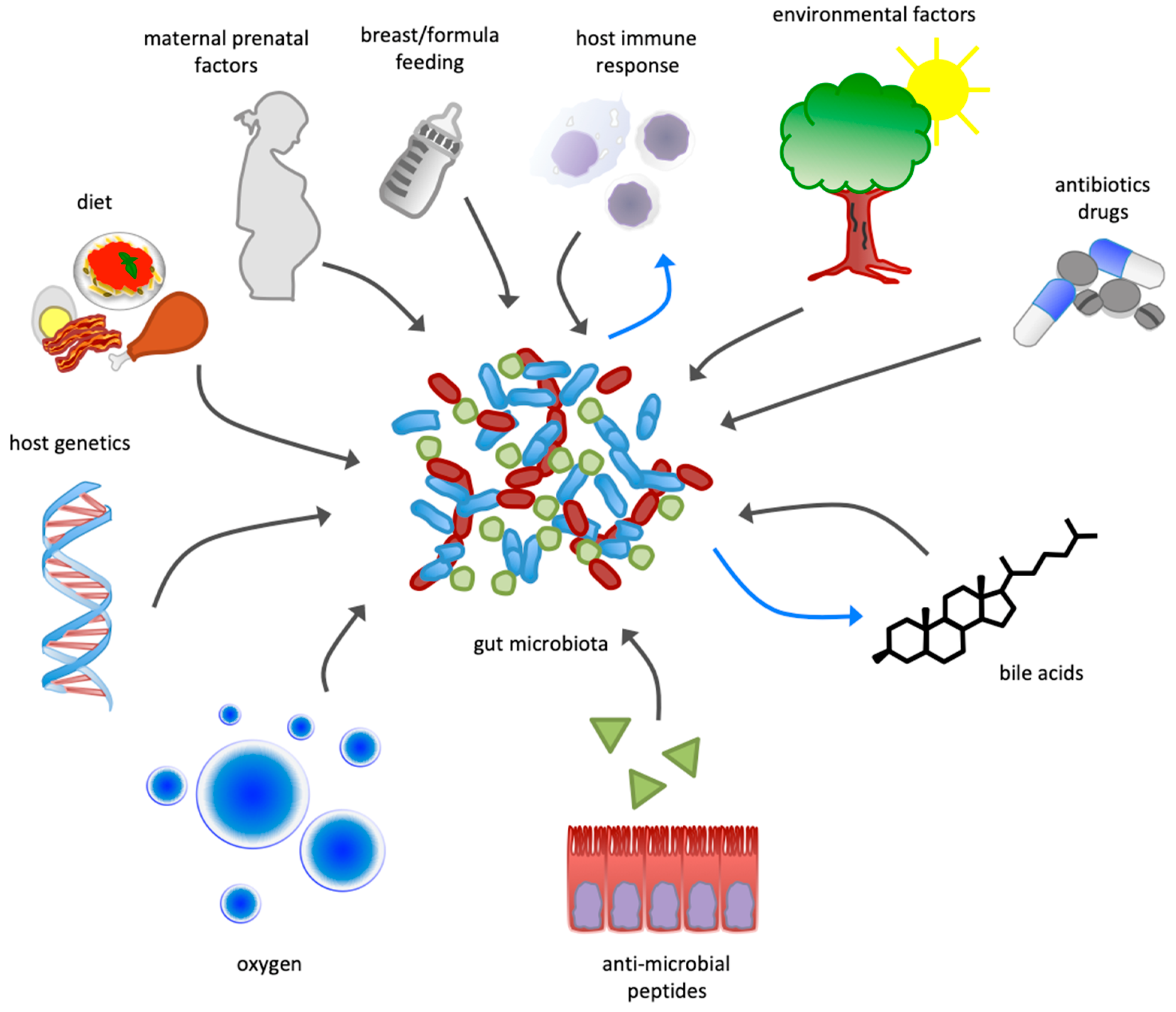 Nutrients 12 00079 g001 Nutrients 12 00079 g001