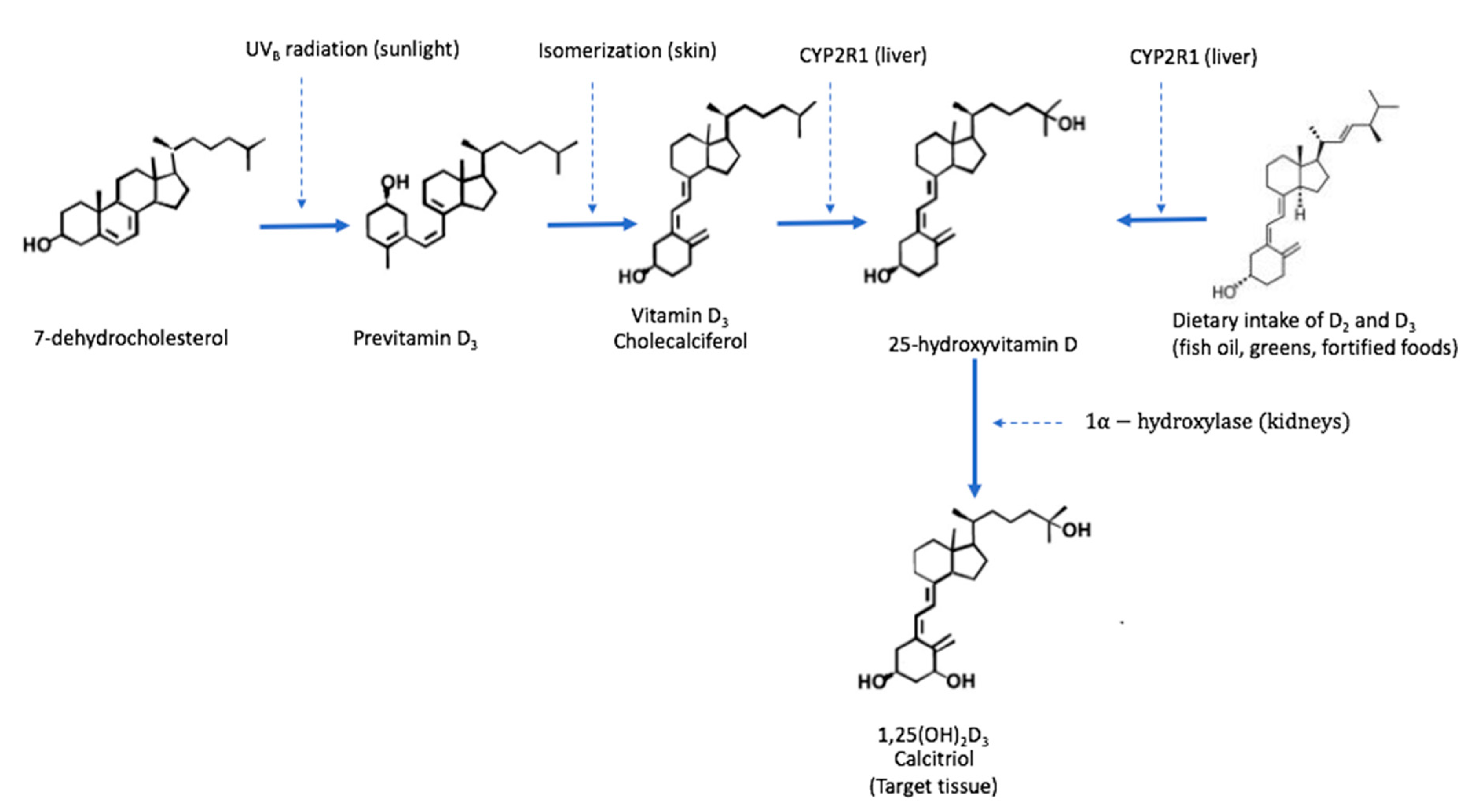 Nutrients 12 00099 g002 Nutrients 12 00099 g002