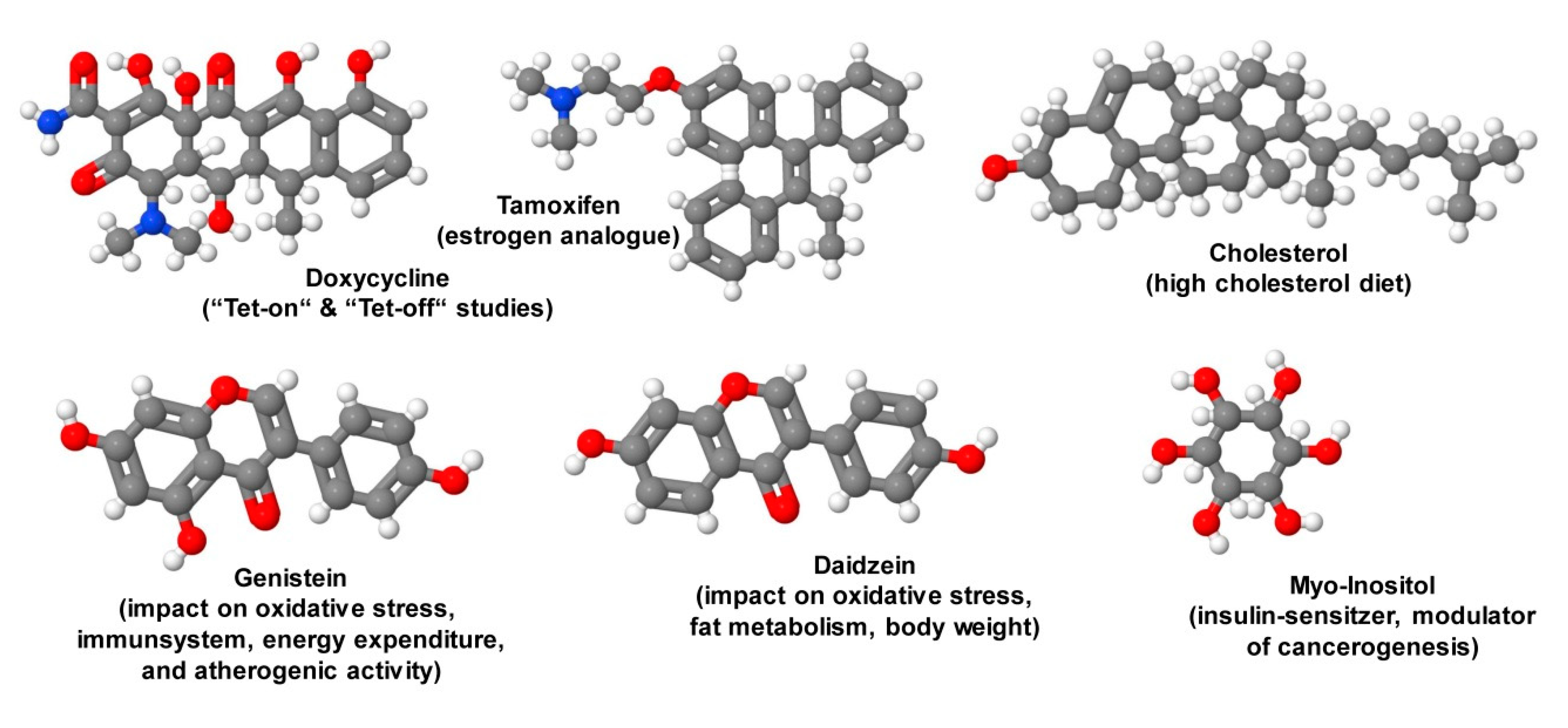 Nutrients 12 00163 g011