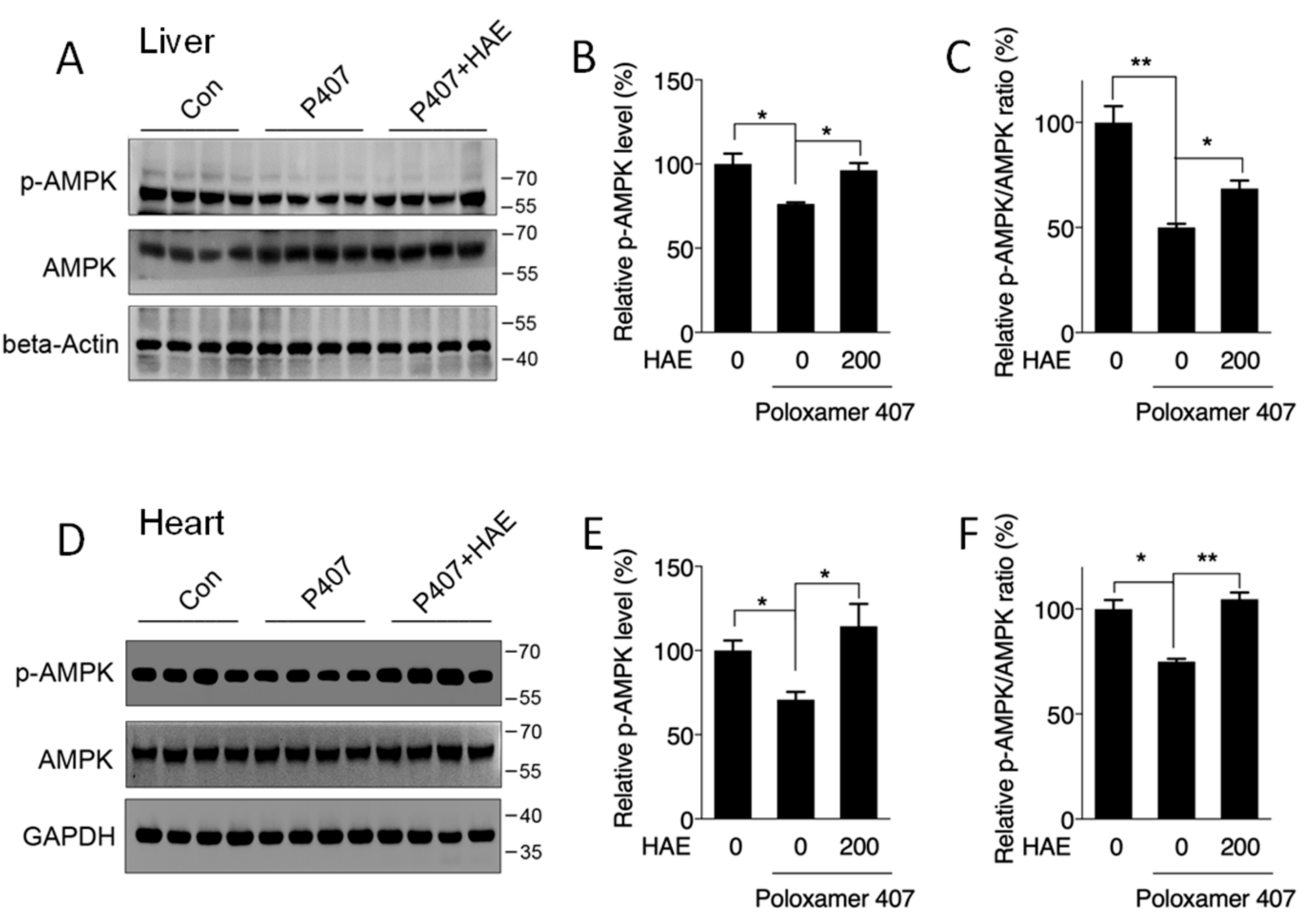 Nutrients 12 00164 g003