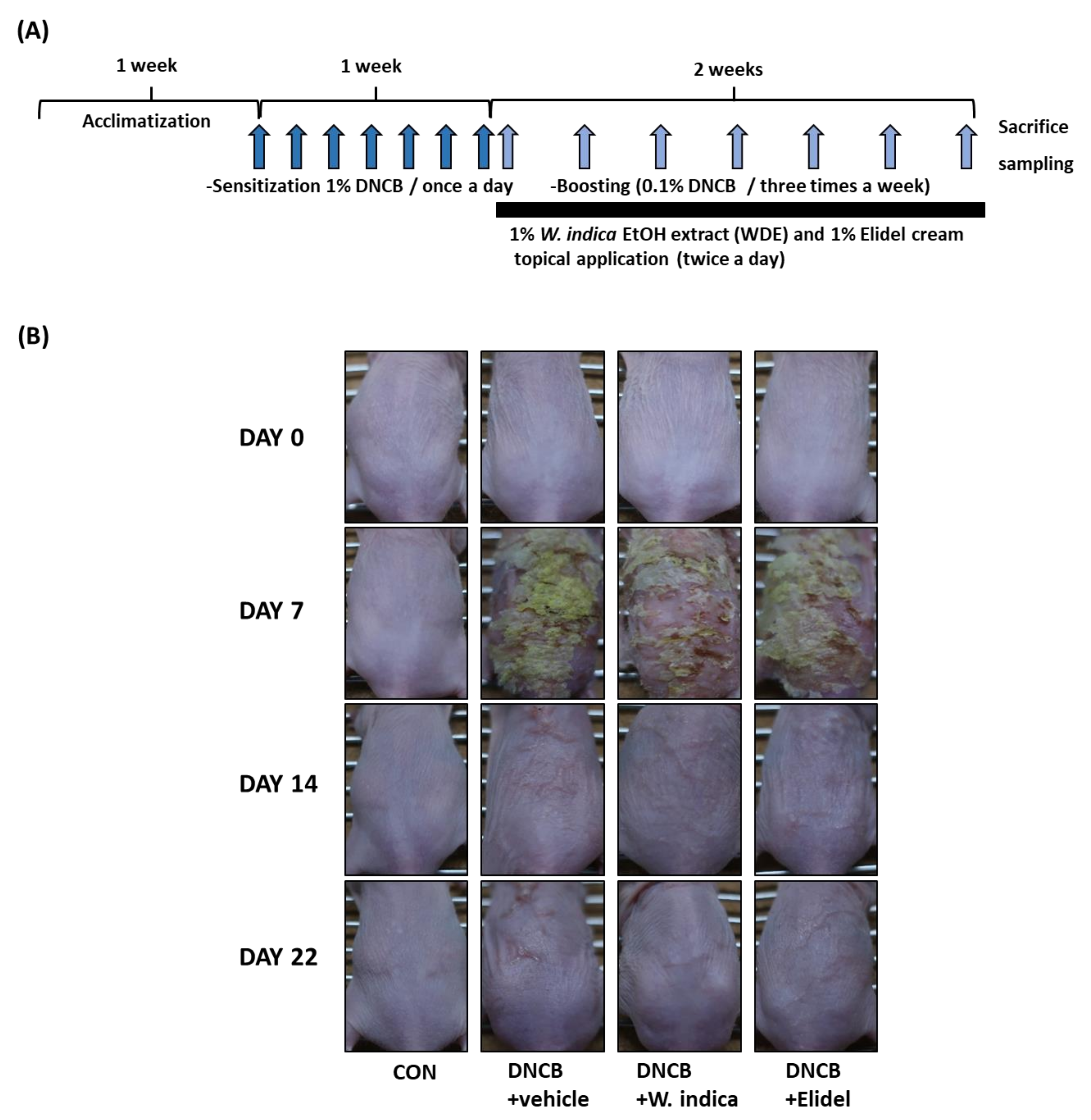 Nutrients 12 00173 g001