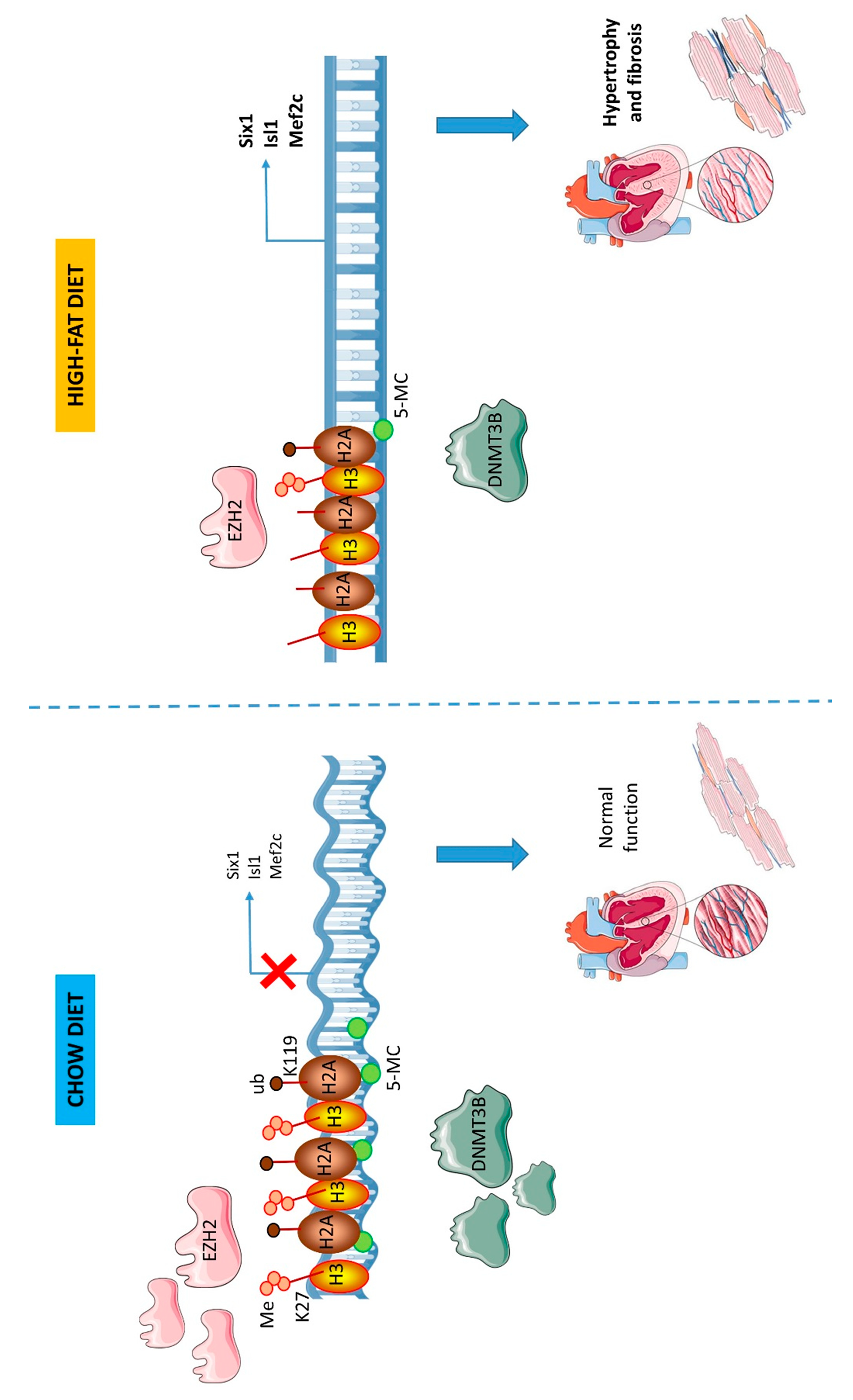 Nutrients 12 00181 g004
