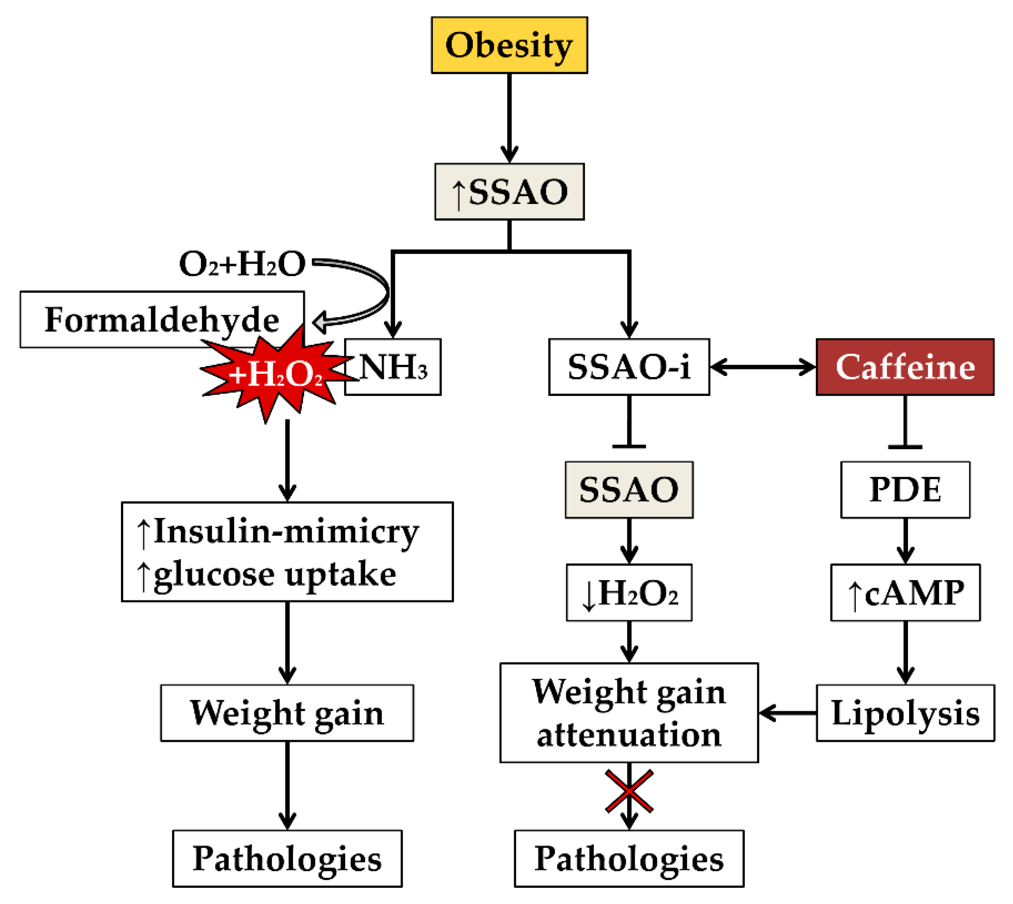 Nutrients 12 00184 g001
