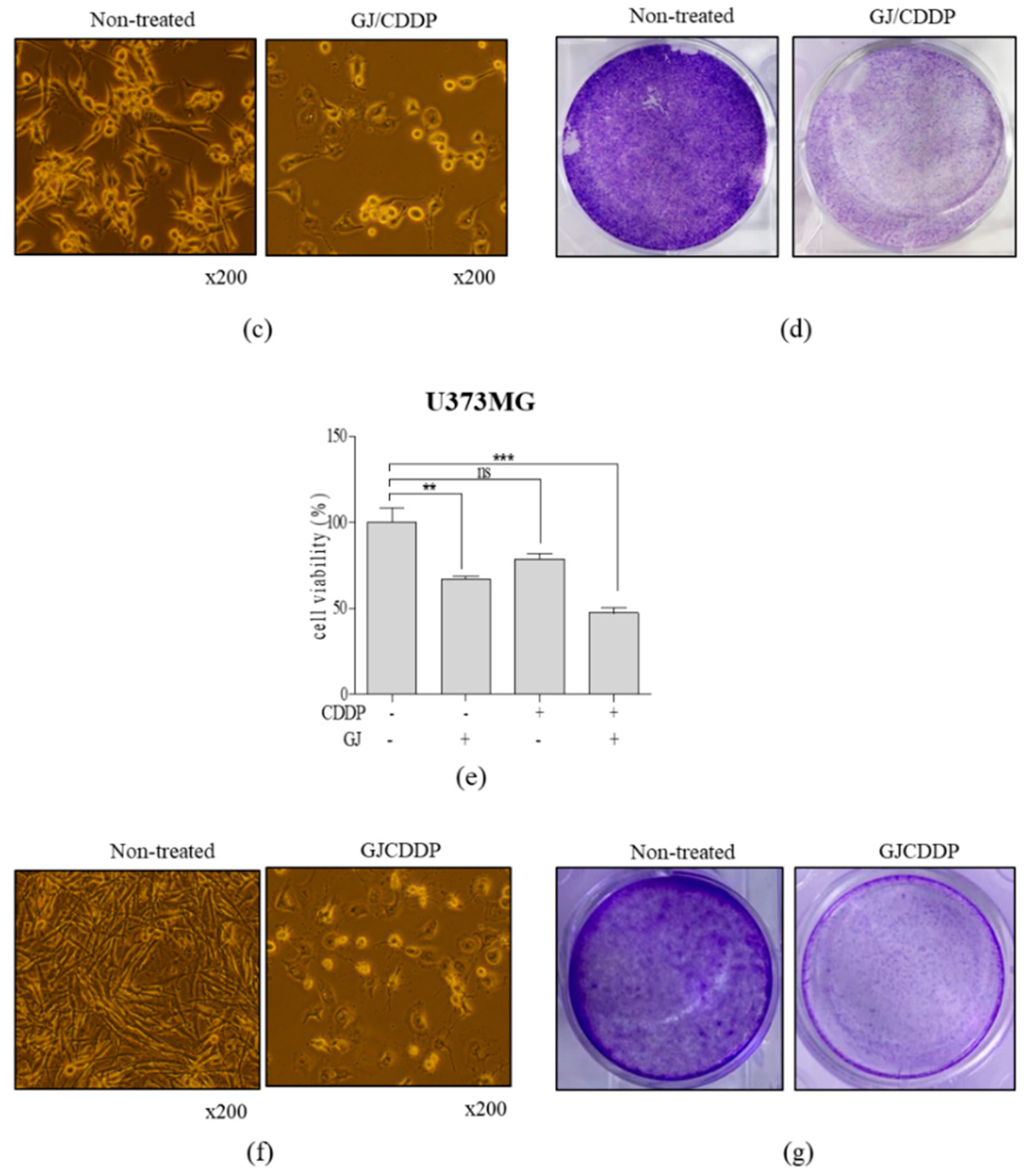 Nutrients 12 00196 g002b Nutrients 12 00196 g002b