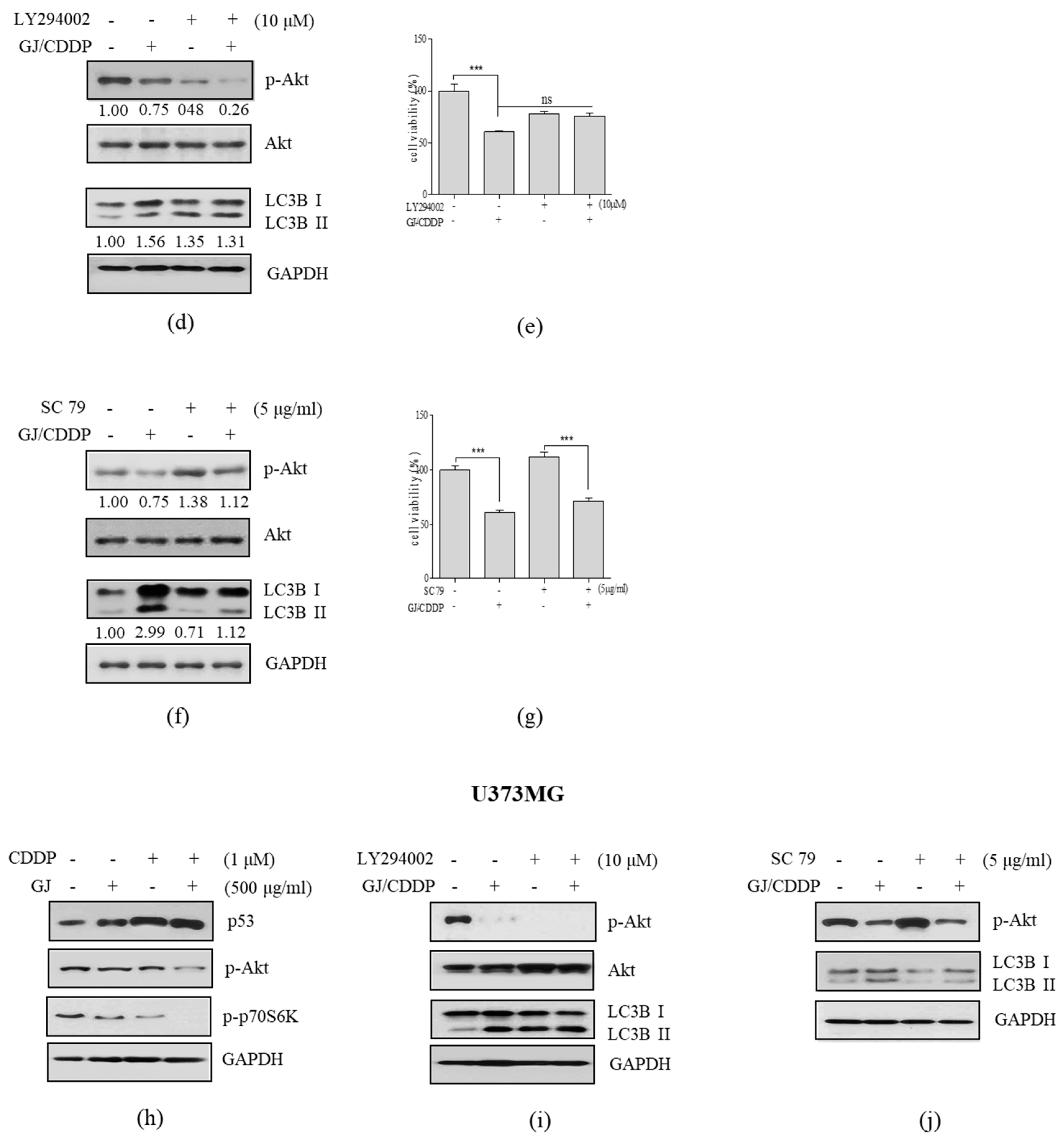 Nutrients 12 00196 g006b Nutrients 12 00196 g006b
