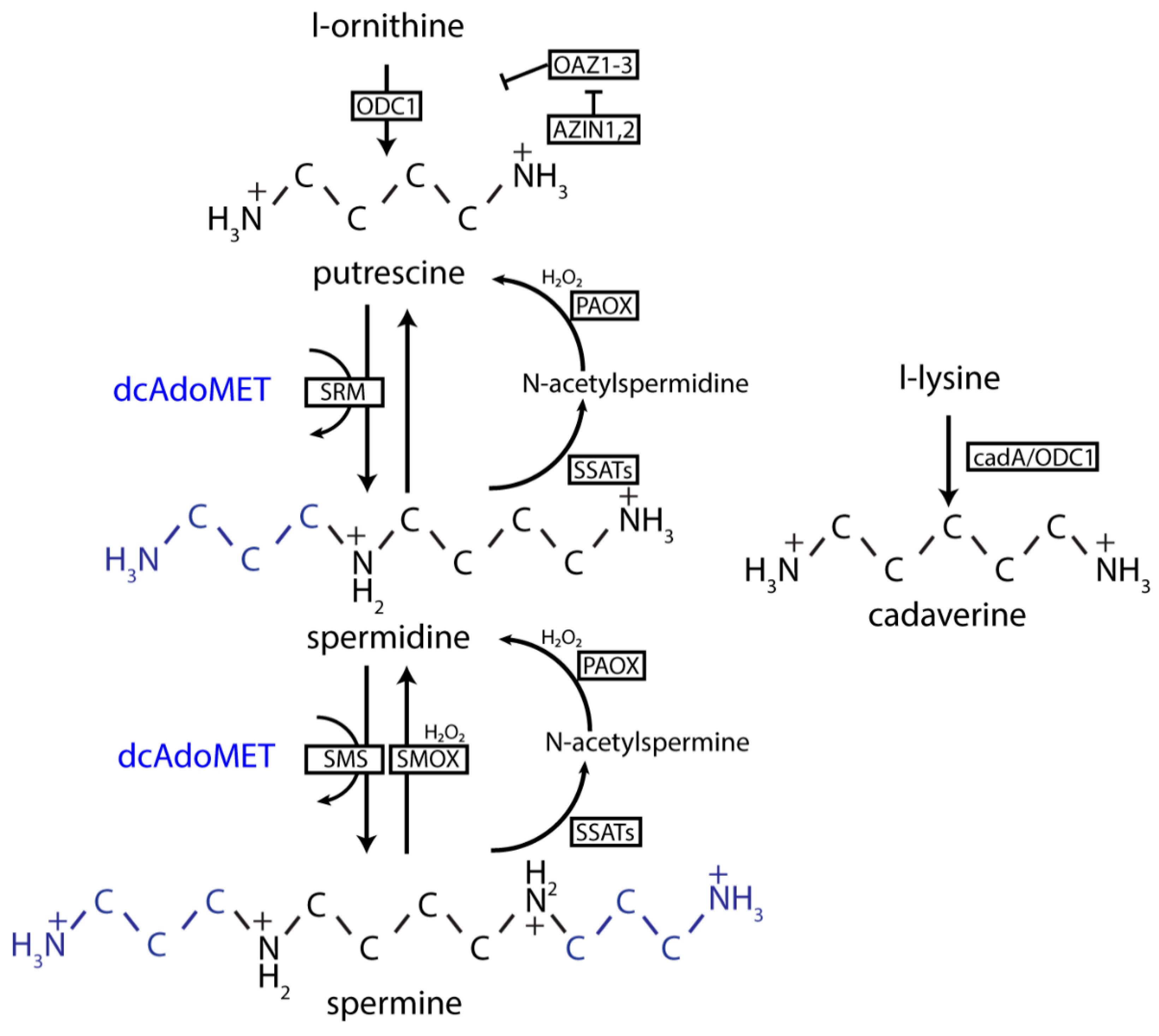 Nutrients 12 00197 g002