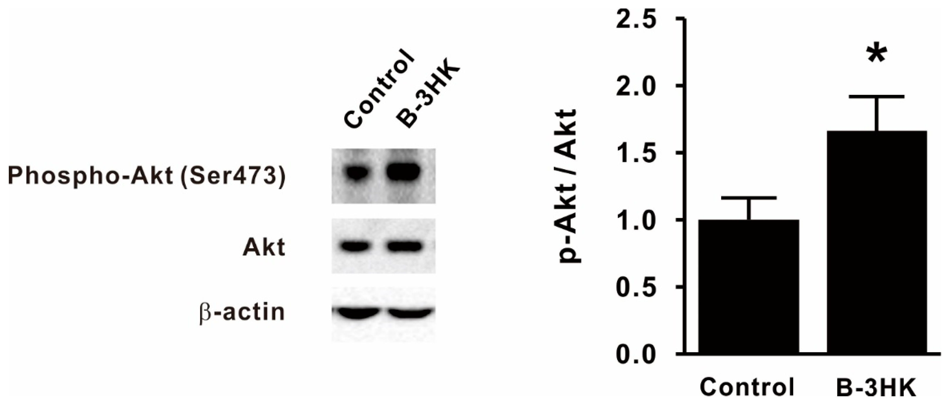 Nutrients 12 00219 g002 Nutrients 12 00219 g002