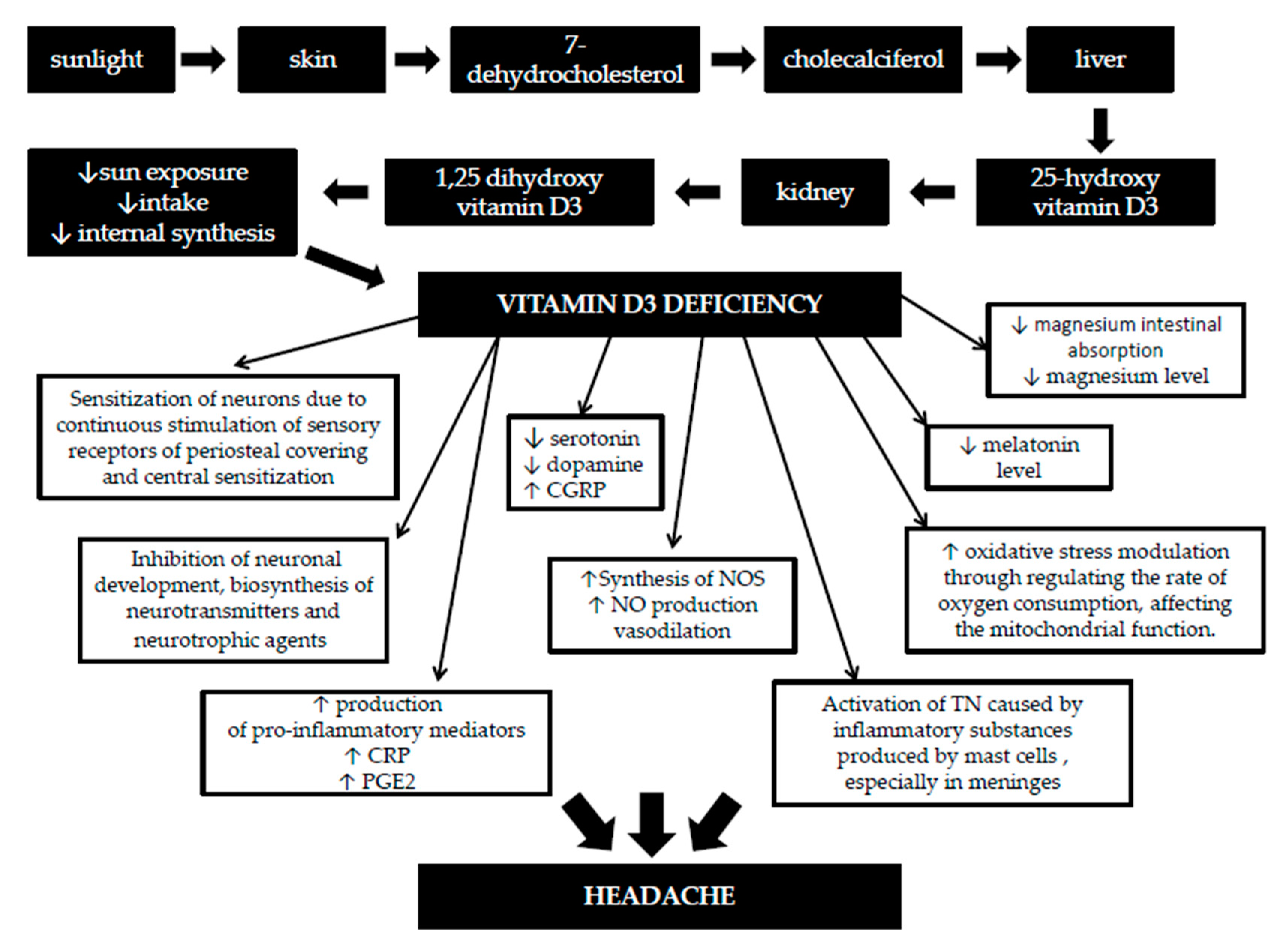 Nutrients 12 00243 g001 Nutrients 12 00243 g001
