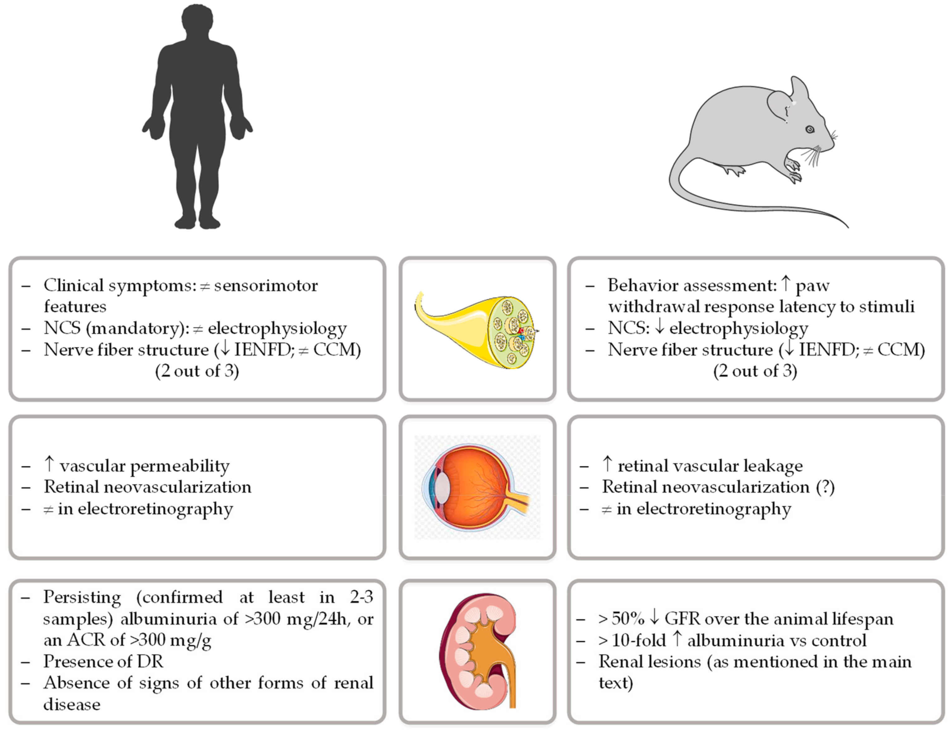 Nutrients 12 00250 g001