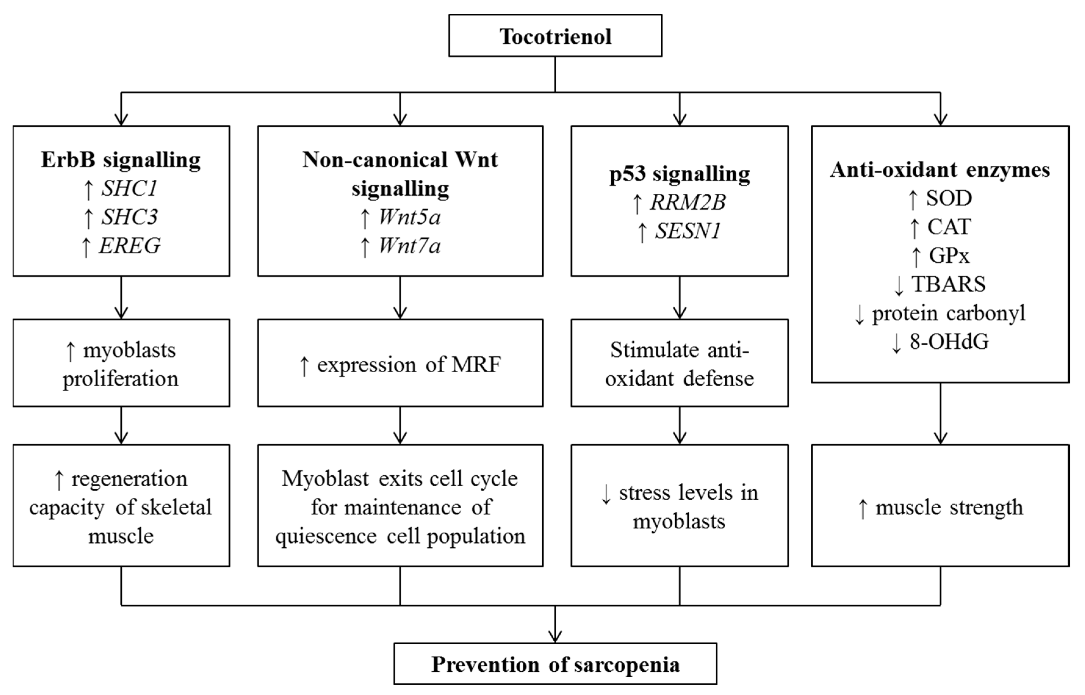 Nutrients 12 00259 g005
