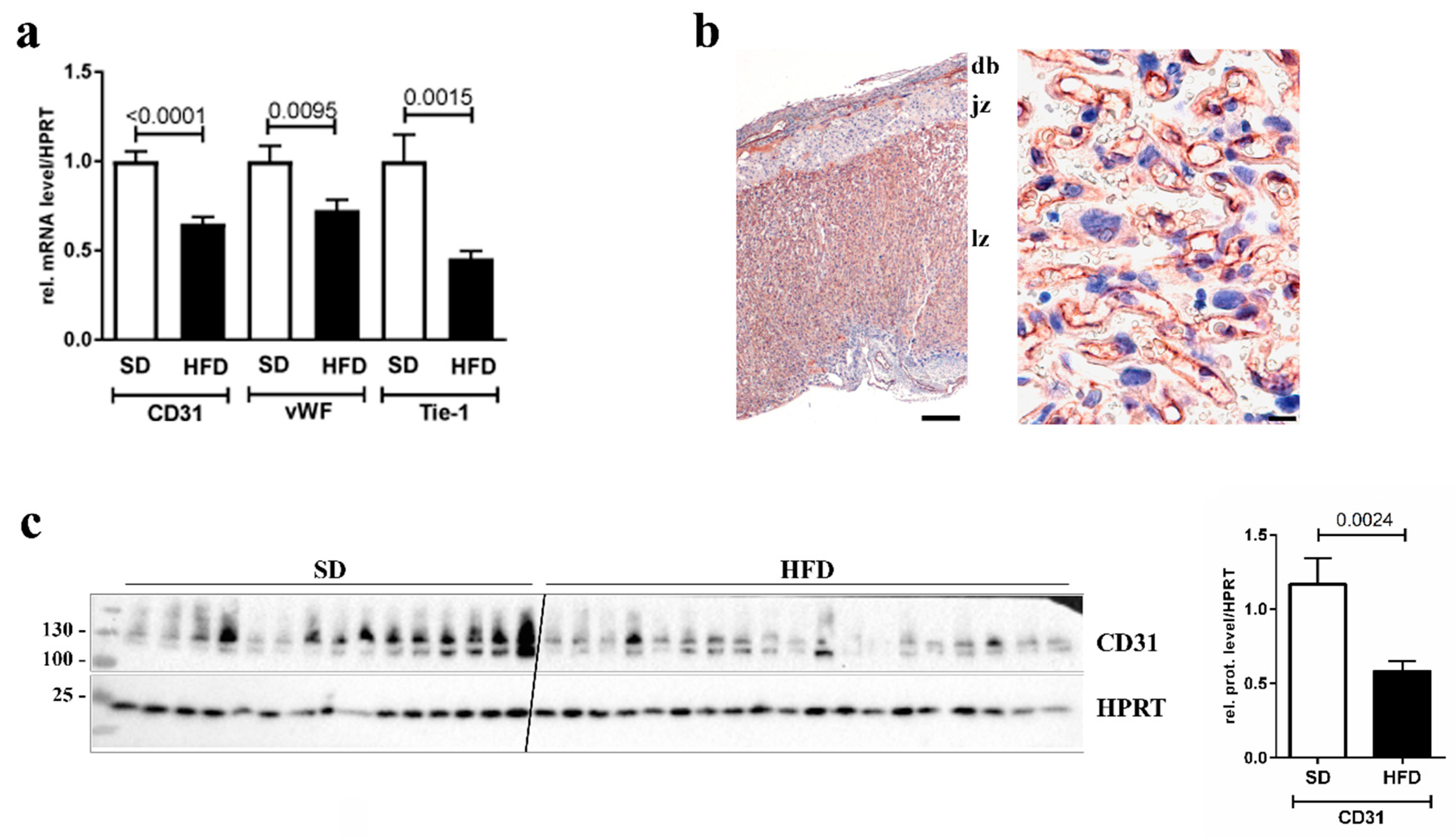 Nutrients 12 00296 g001