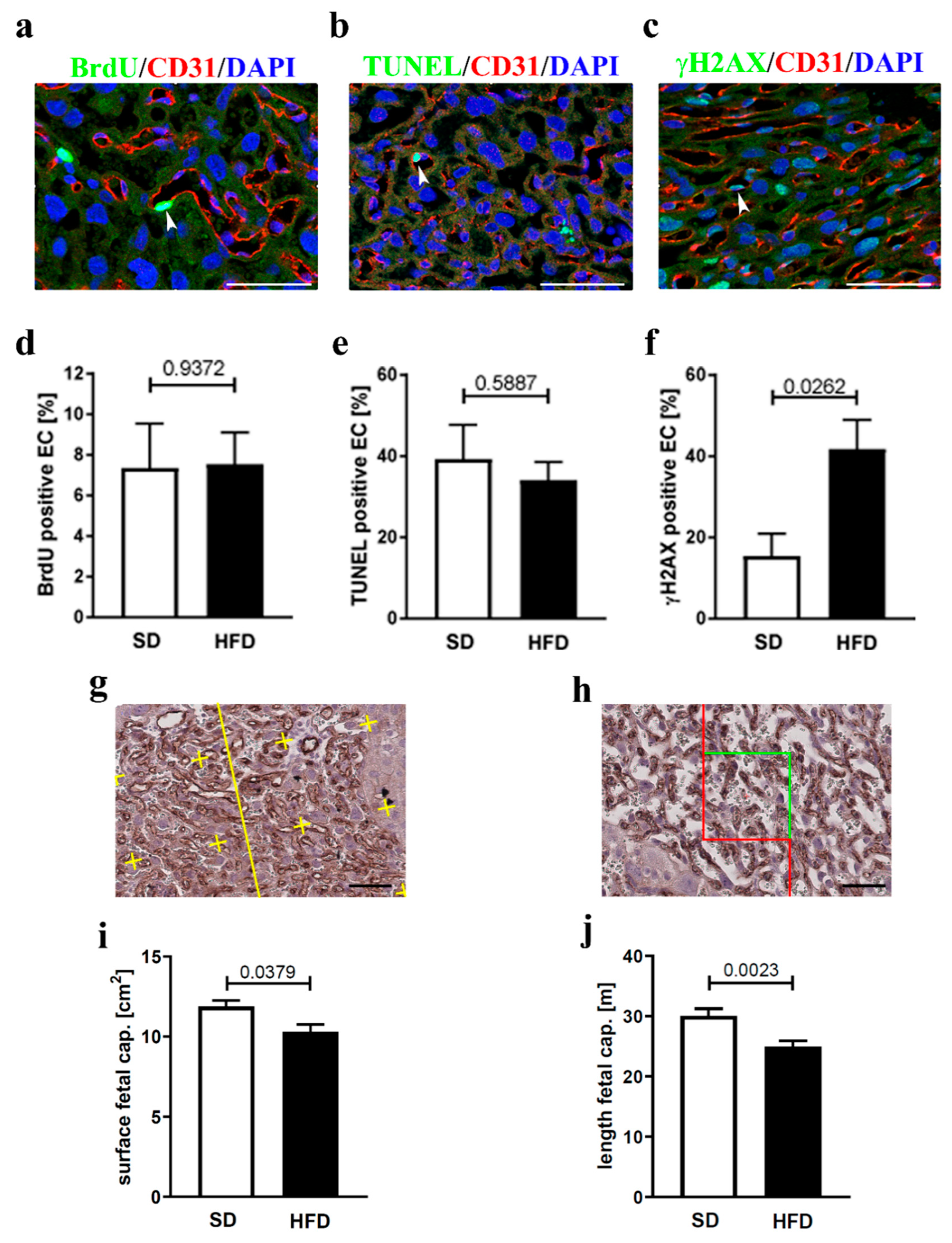 Nutrients 12 00296 g002