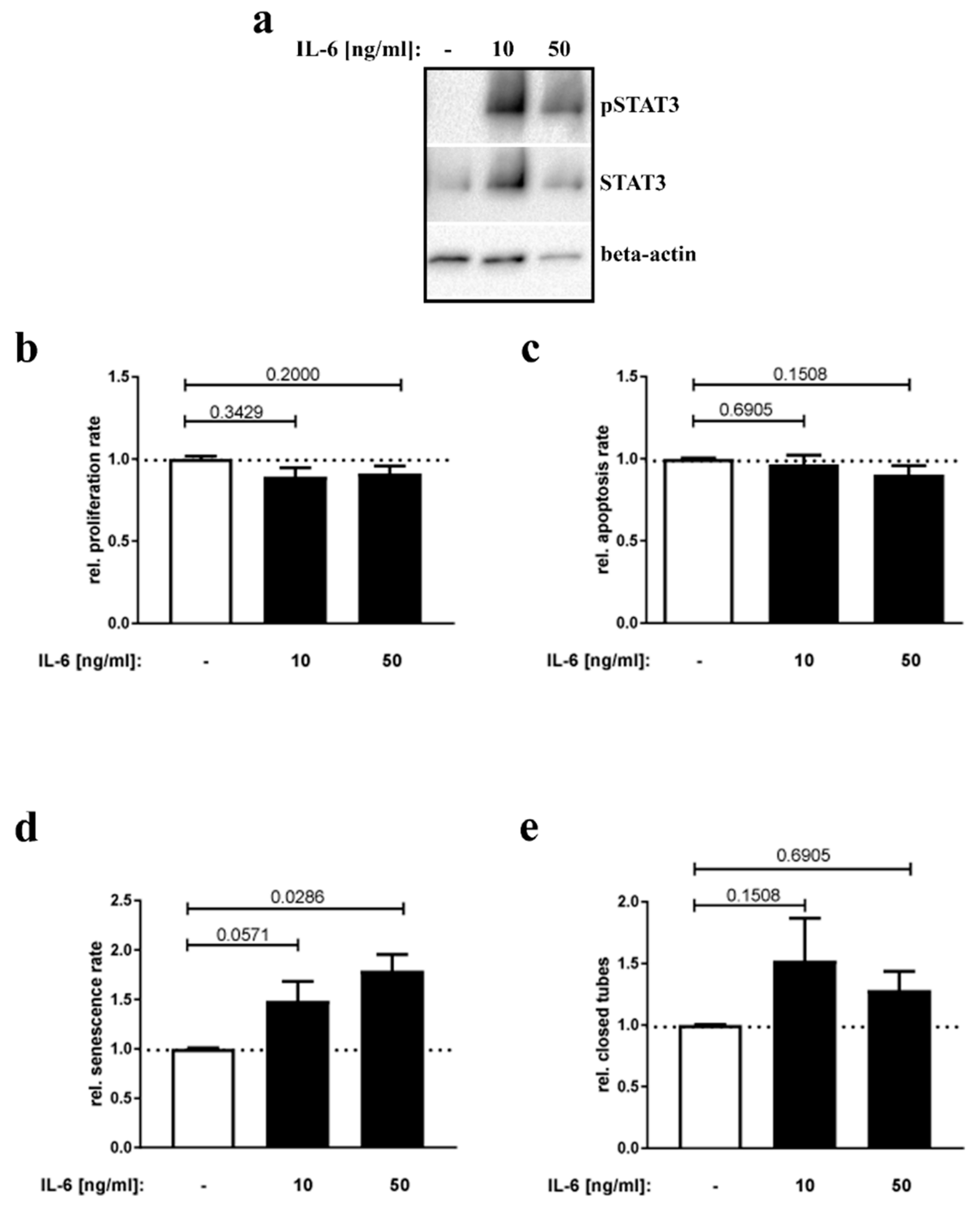 Nutrients 12 00296 g004