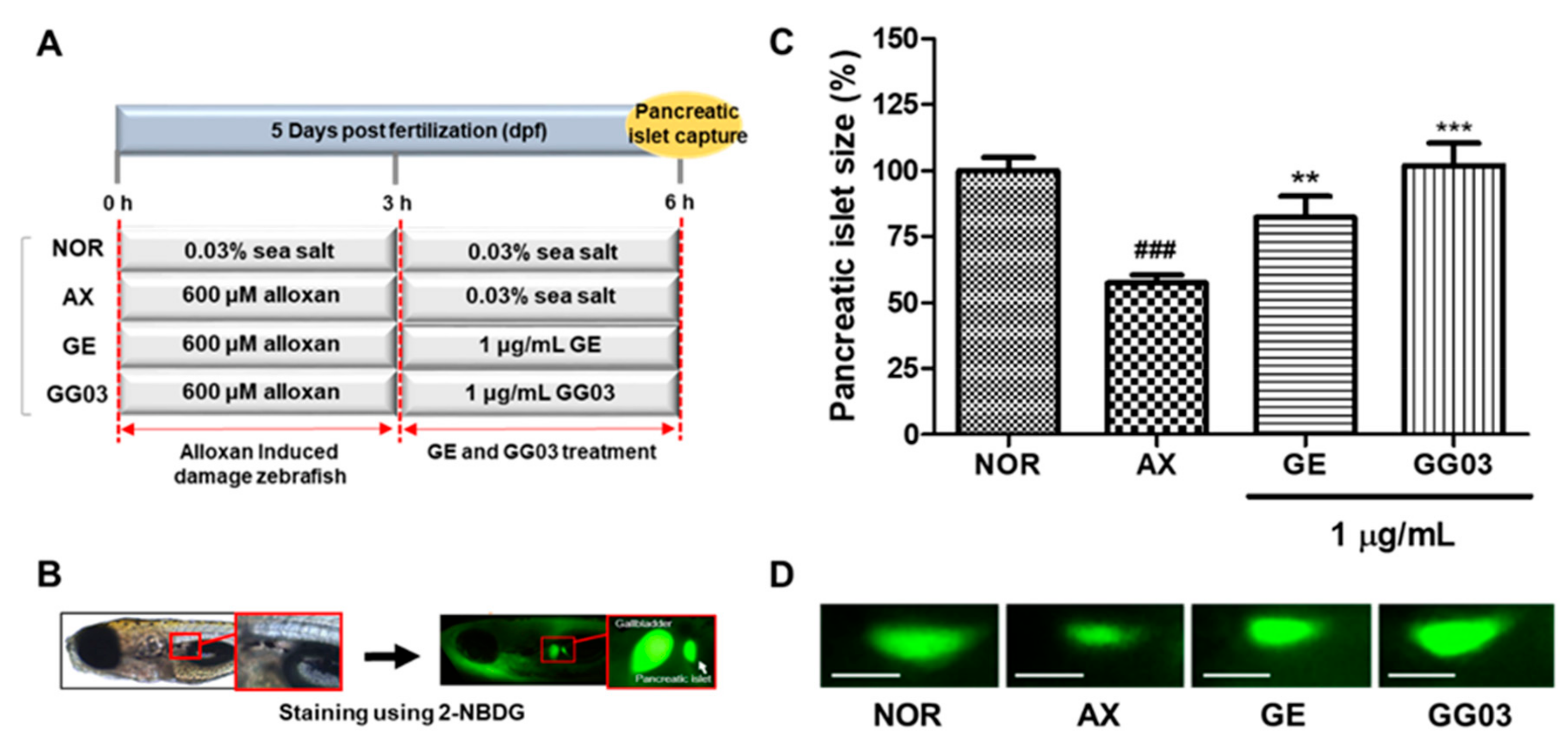 Nutrients 12 00324 g001 Nutrients 12 00324 g001