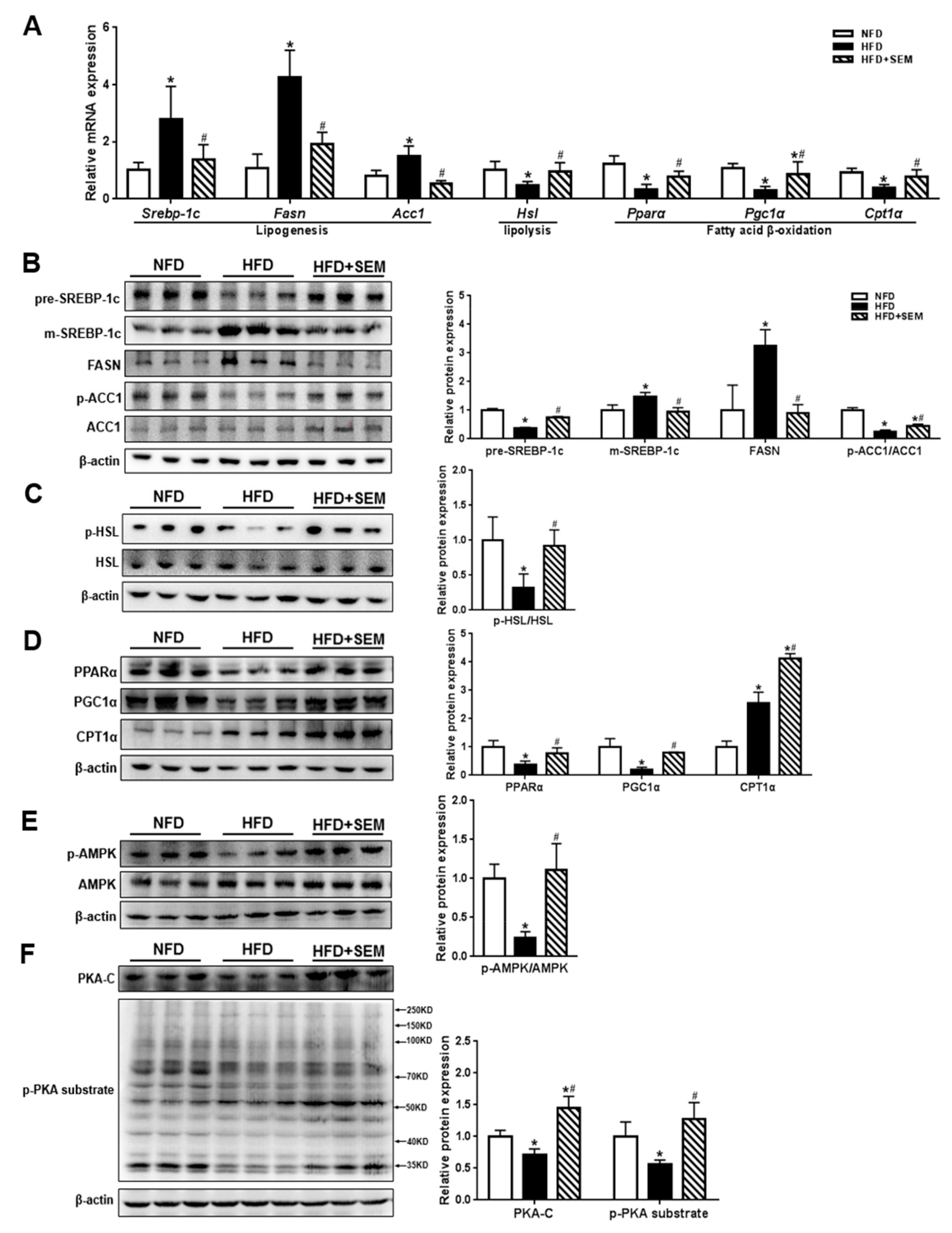 Nutrients 12 00329 g004