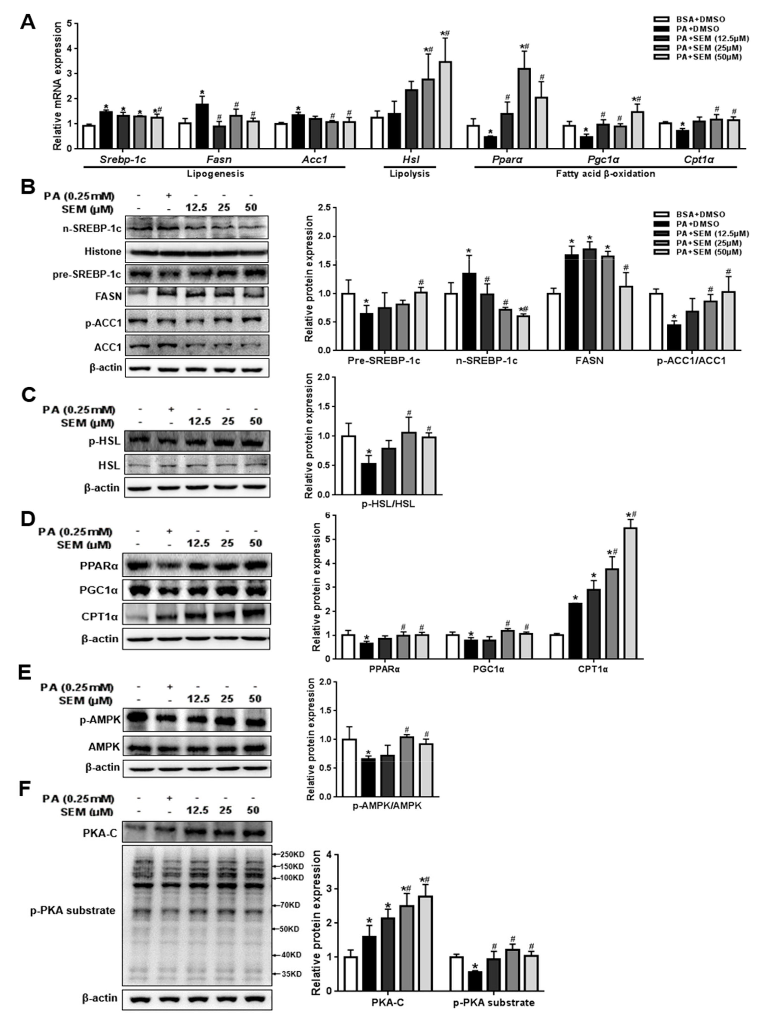 Nutrients 12 00329 g006