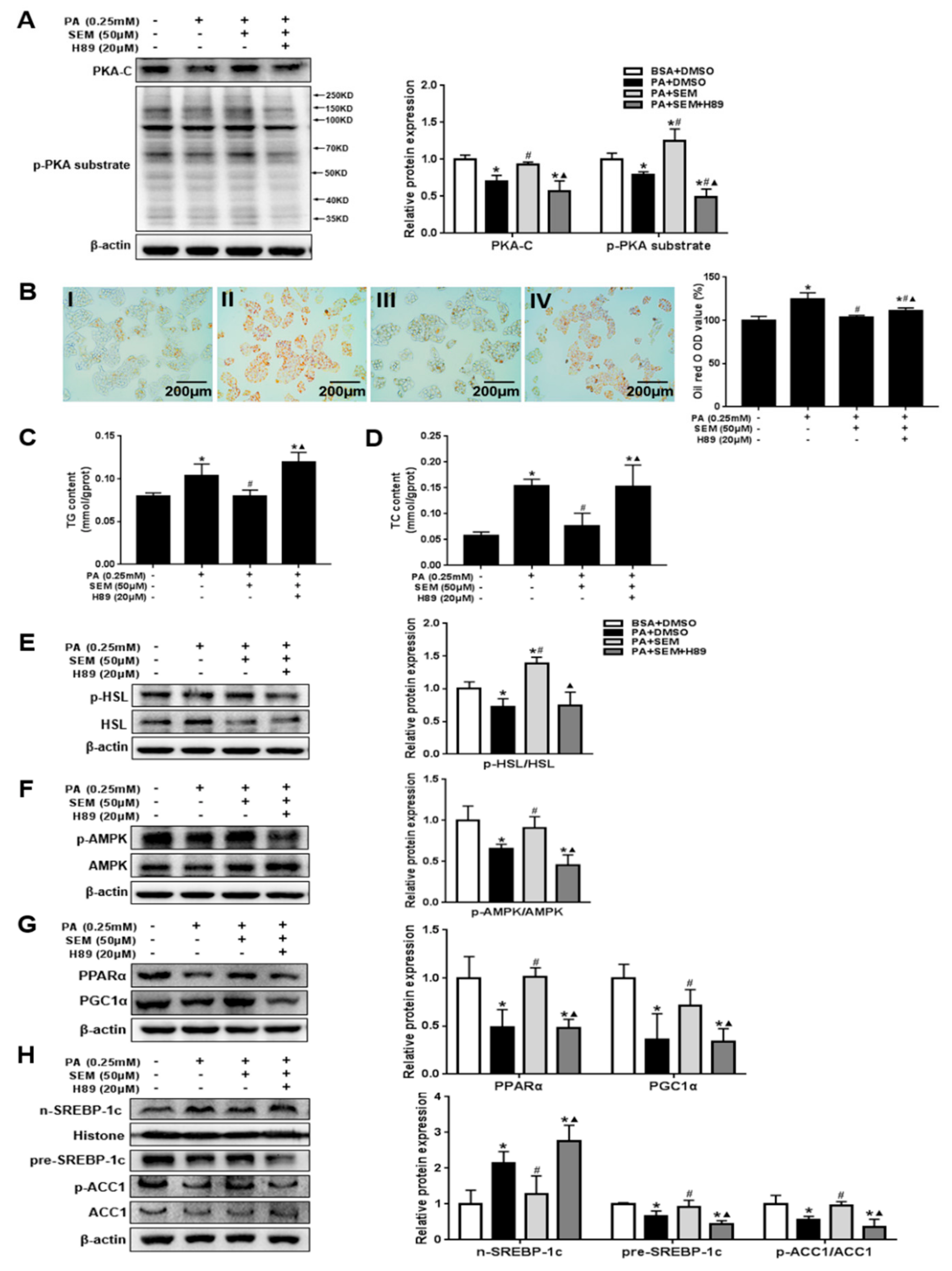 Nutrients 12 00329 g007
