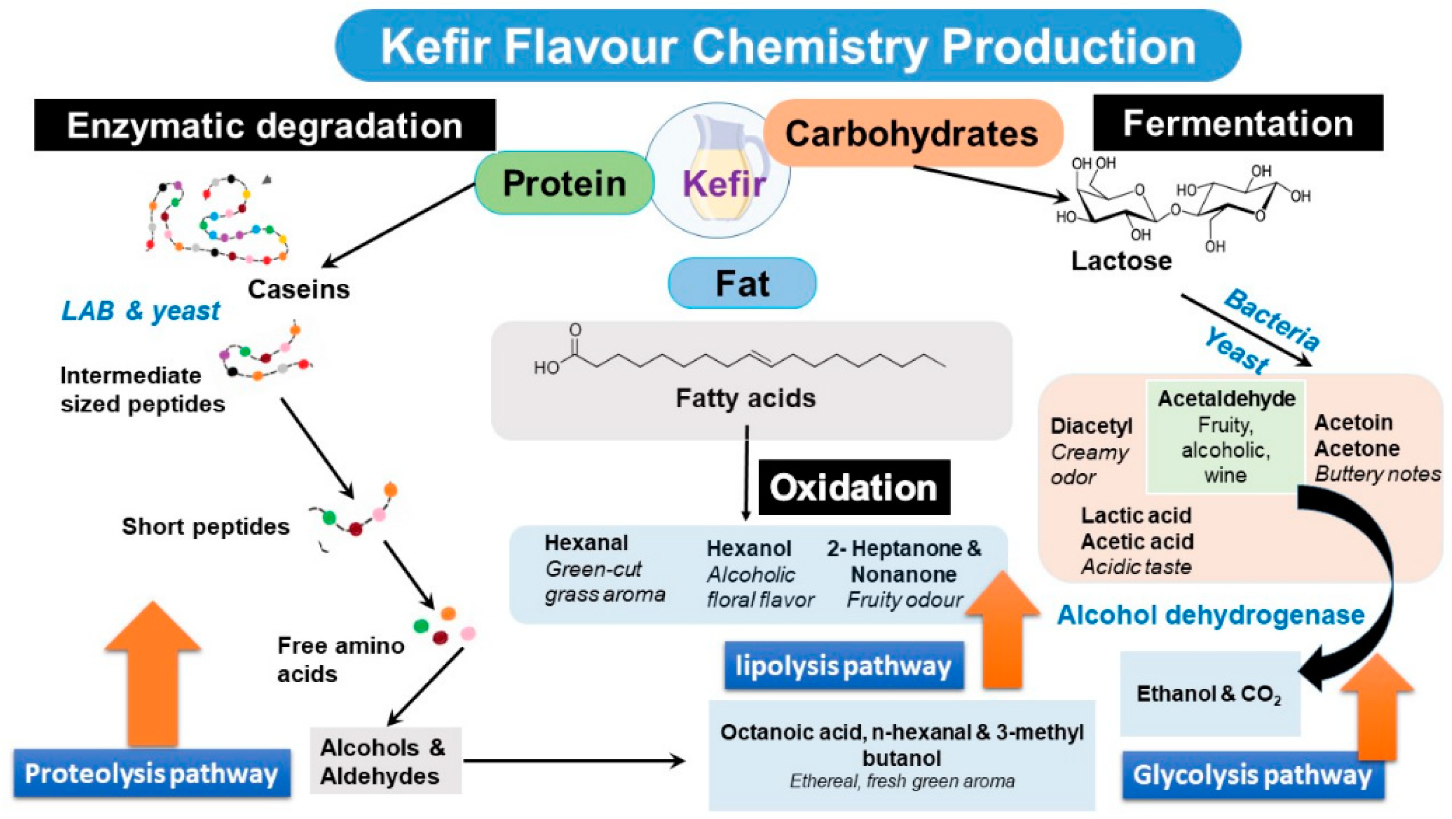 Nutrients 12 00346 g004