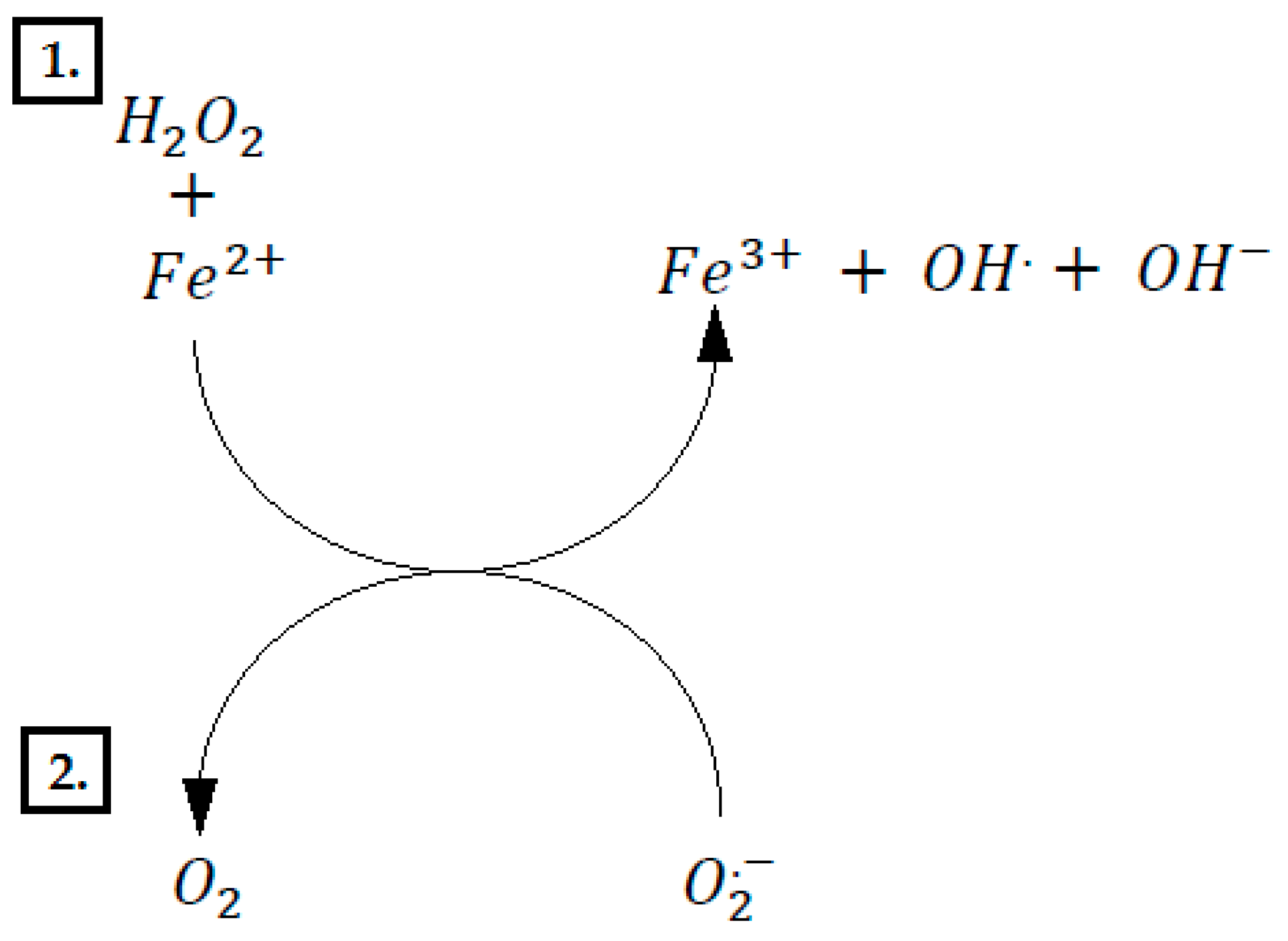 Nutrients 12 00350 g002 Nutrients 12 00350 g002