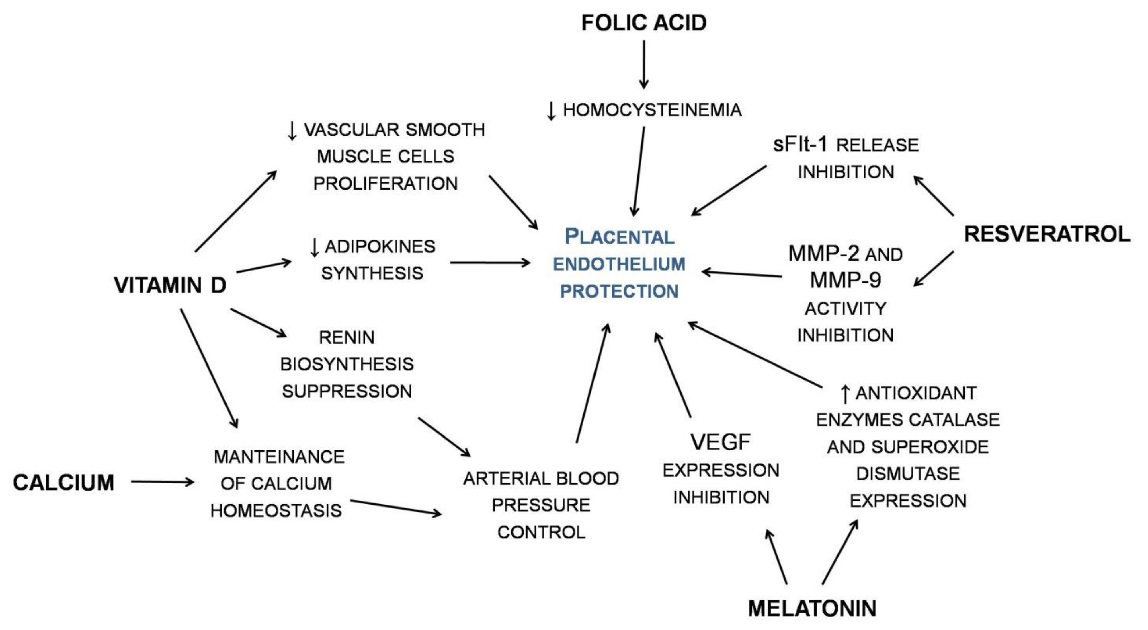 Nutrients 12 00378 g001