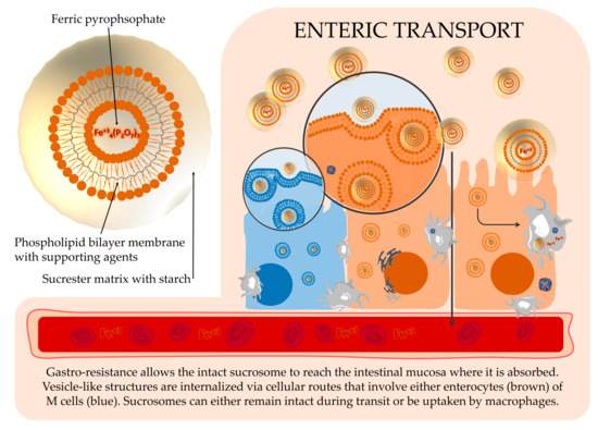 Nutrients 12 00386 g0a1