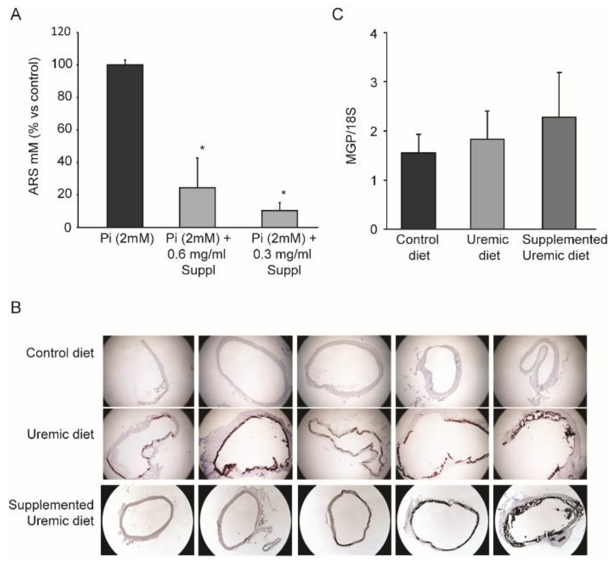 Nutrients 12 00436 g001