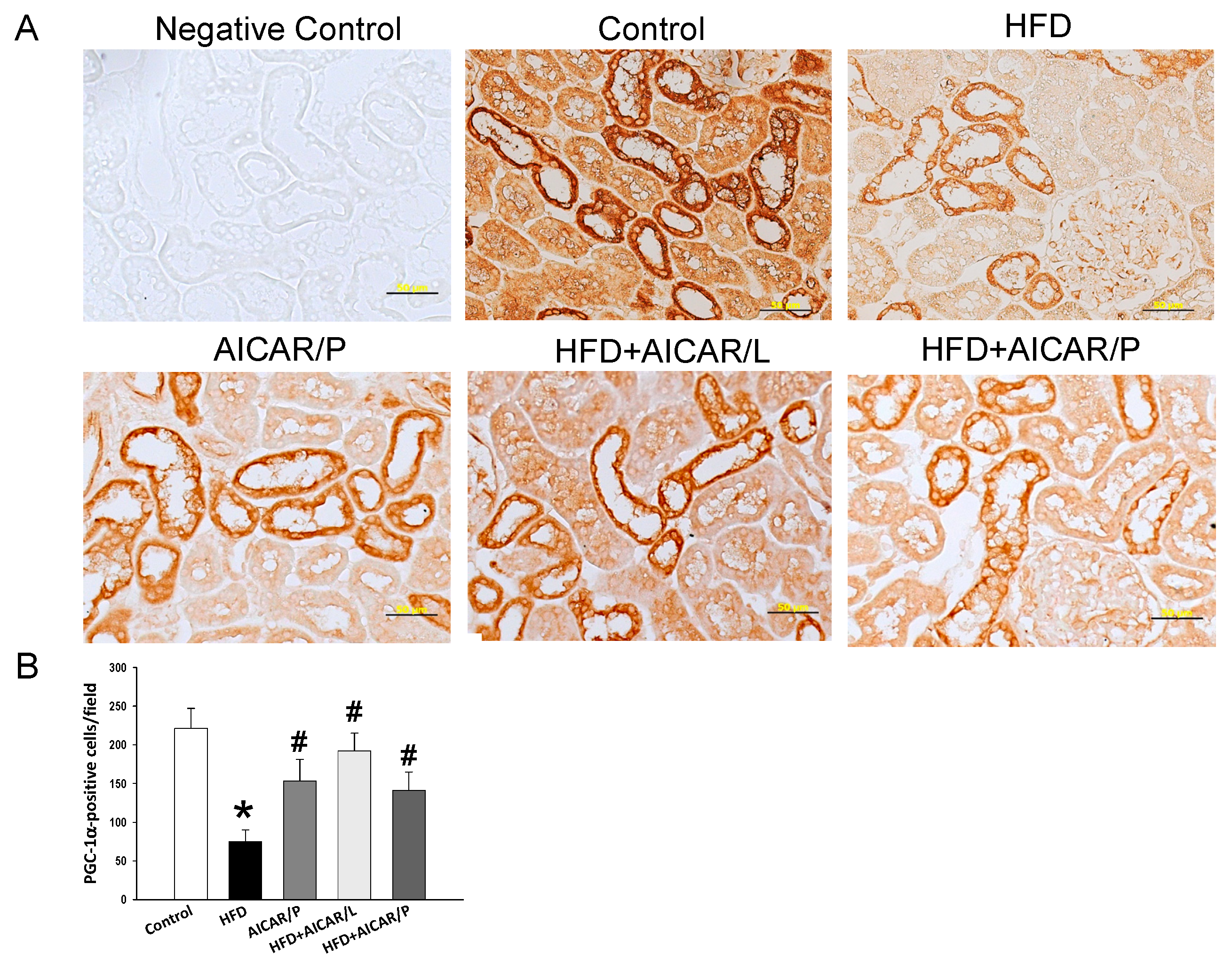 Nutrients 12 00448 g005