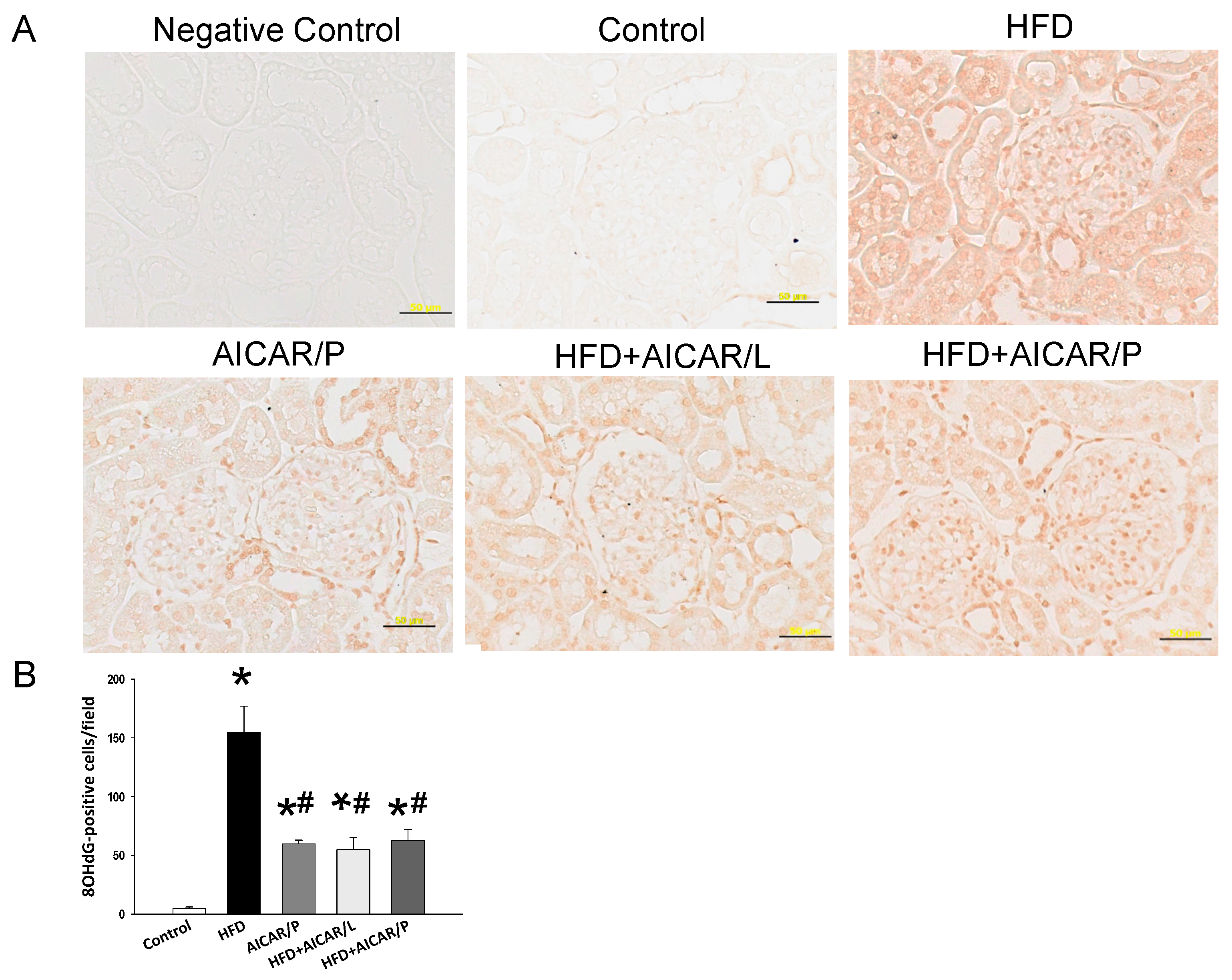 Nutrients 12 00448 g006