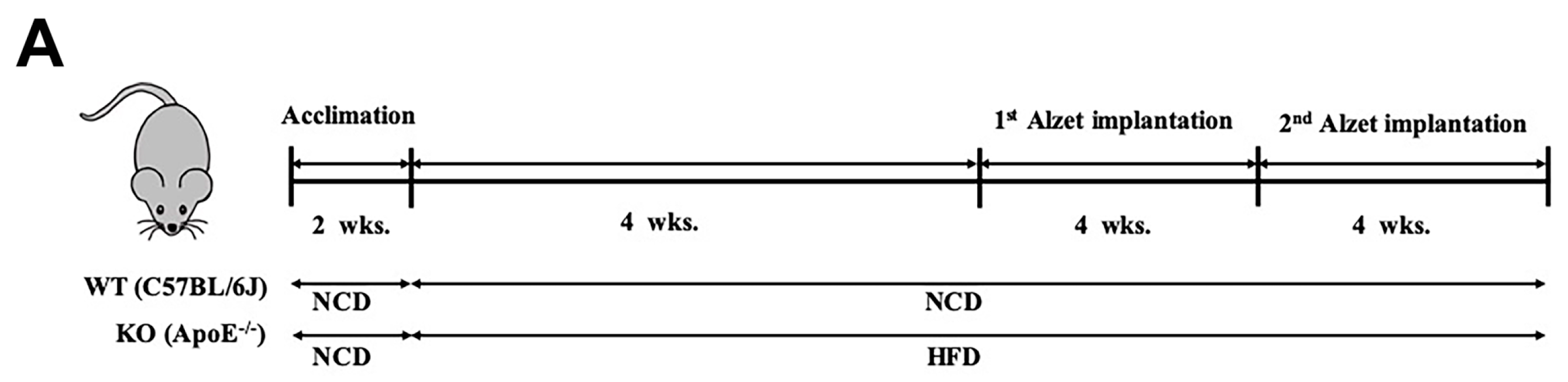 Nutrients 12 00471 g001a