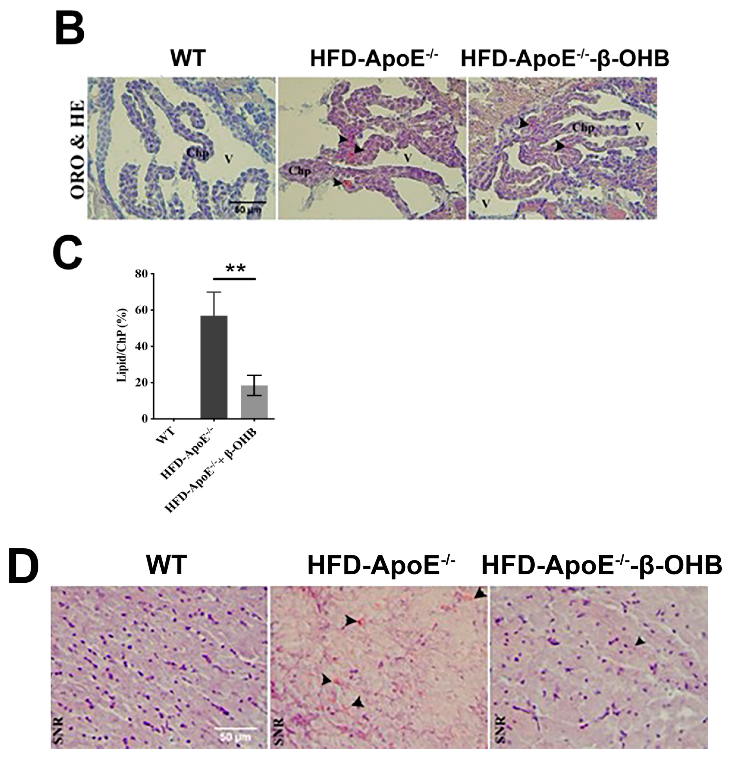 Nutrients 12 00471 g001b