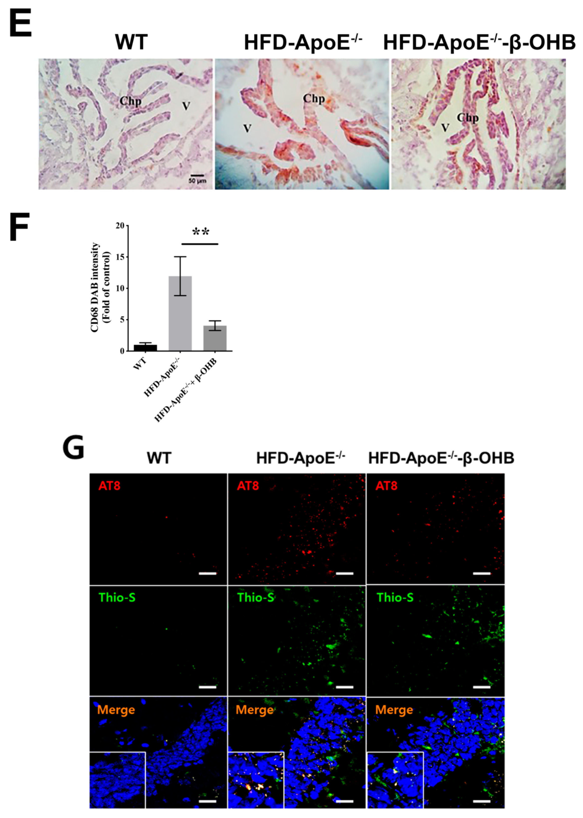 Nutrients 12 00471 g001c