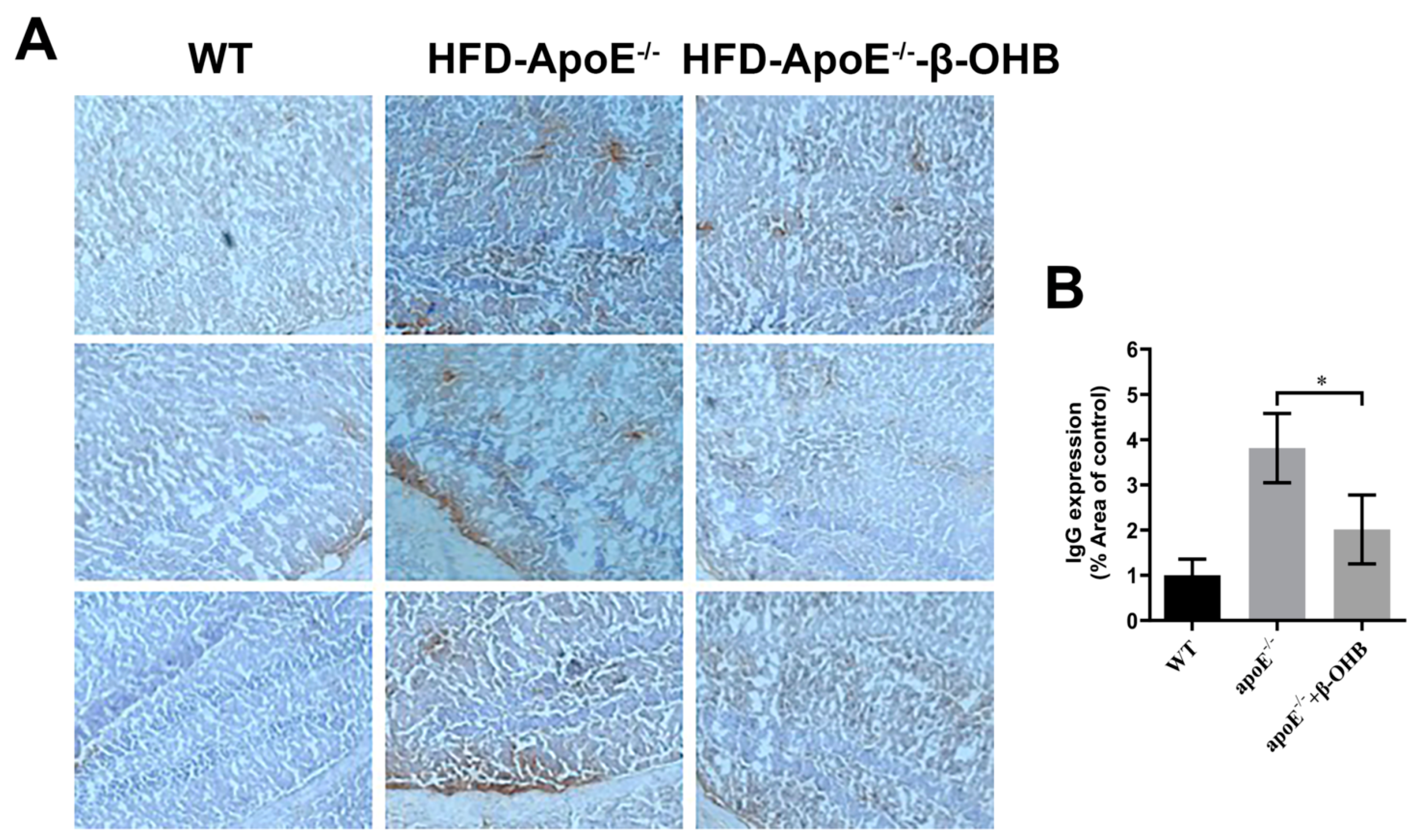 Nutrients 12 00471 g002