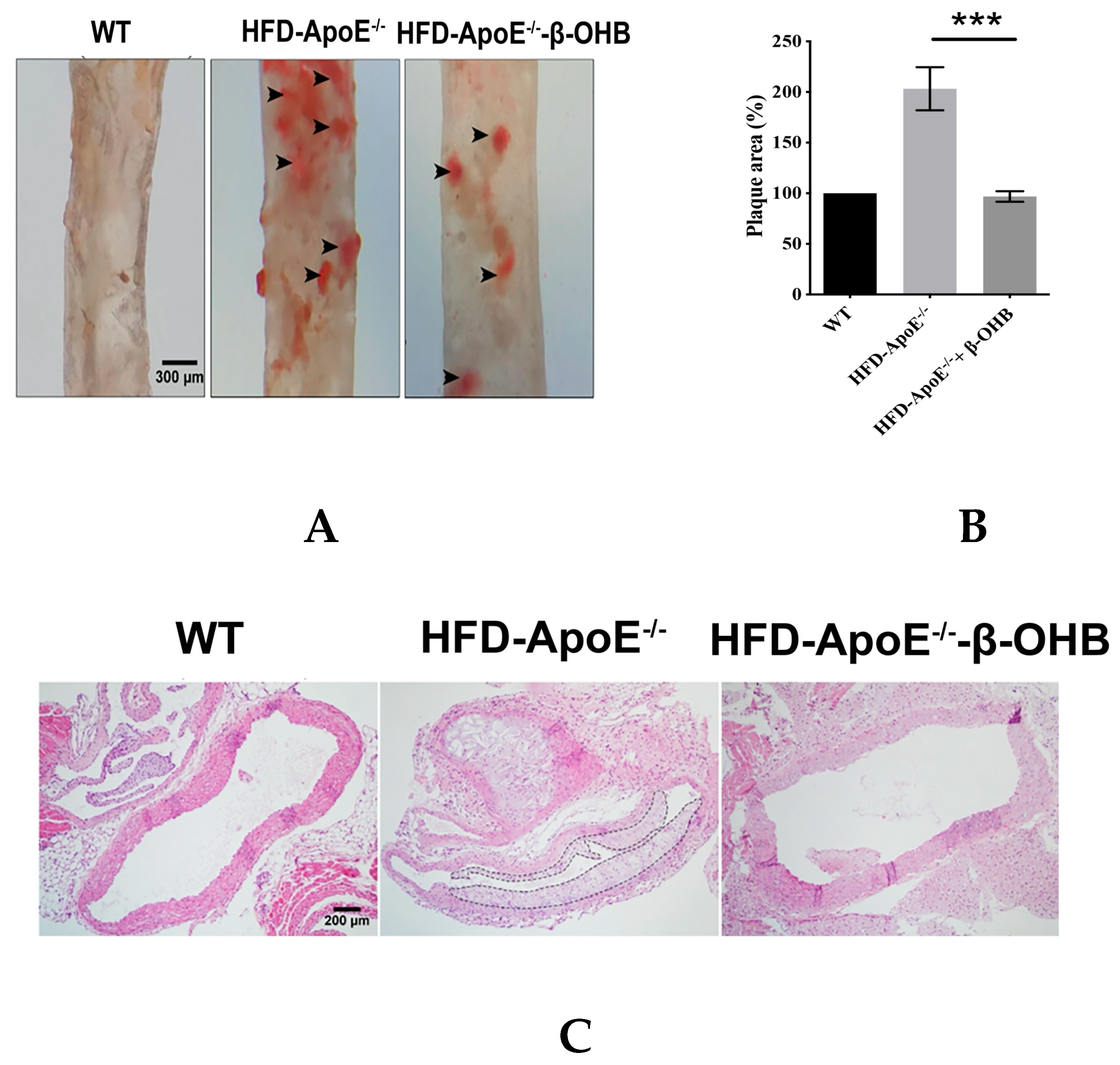 Nutrients 12 00471 g004a