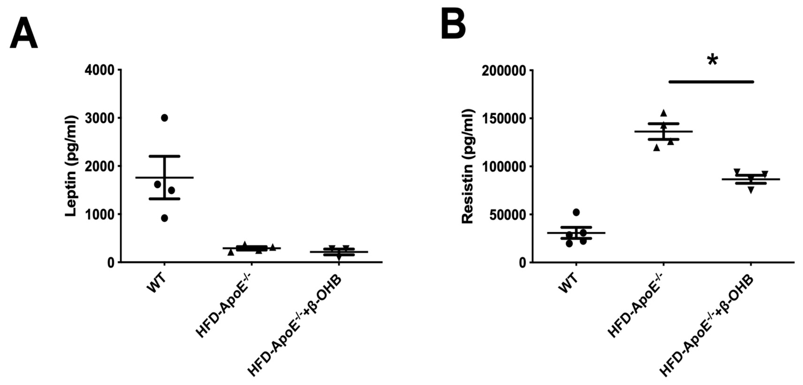 Nutrients 12 00471 g005