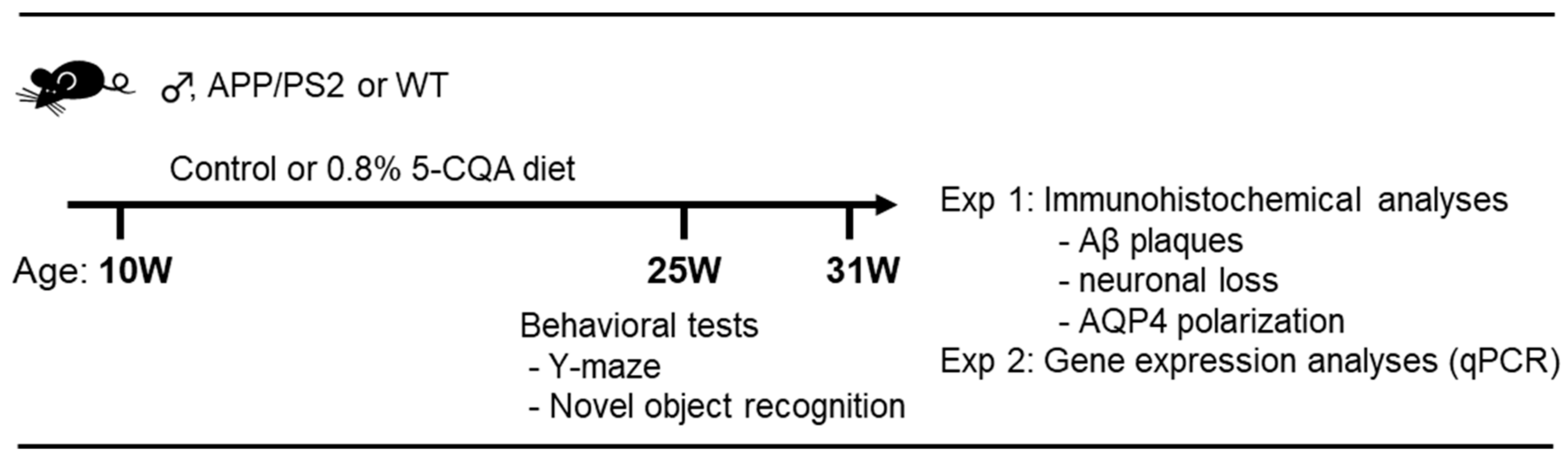 Nutrients 12 00494 g001 Nutrients 12 00494 g001