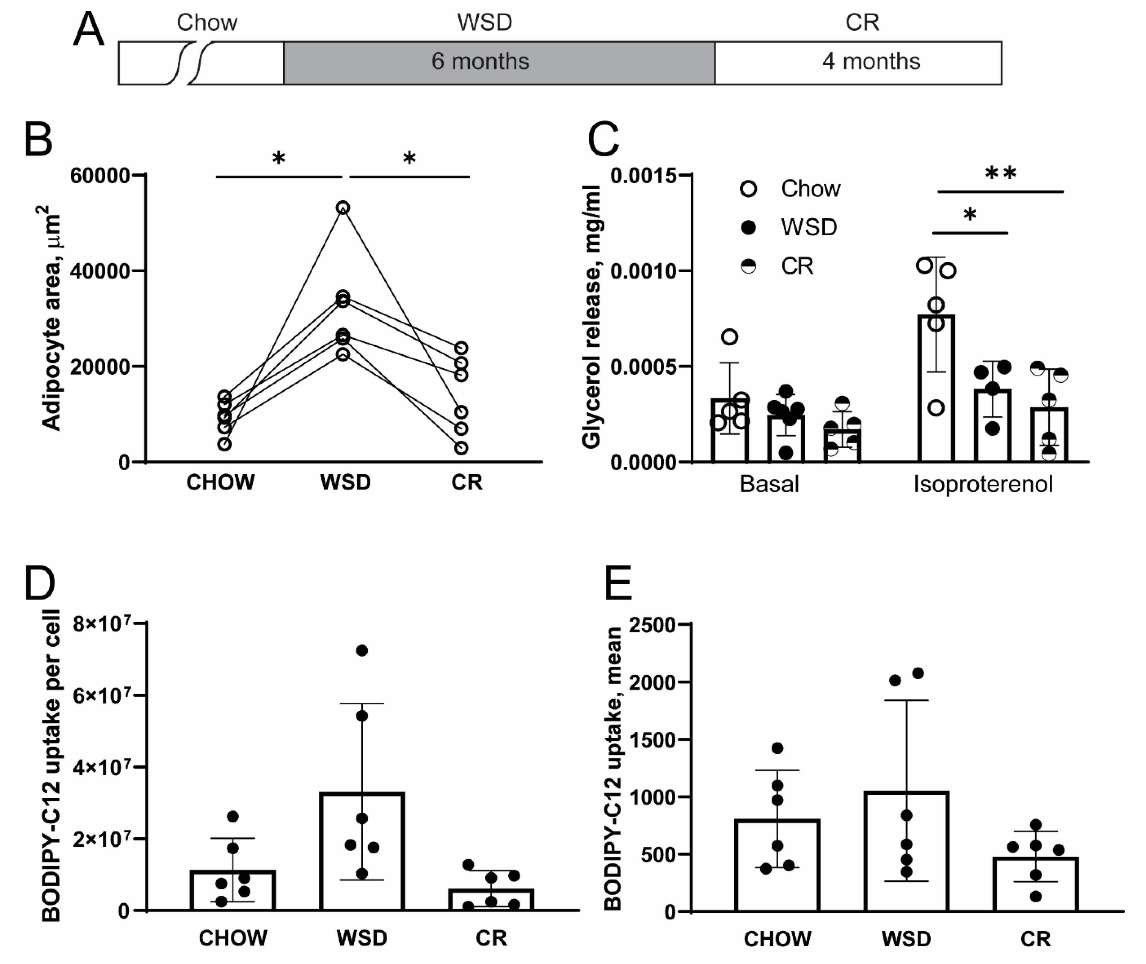 Nutrients 12 00511 g001