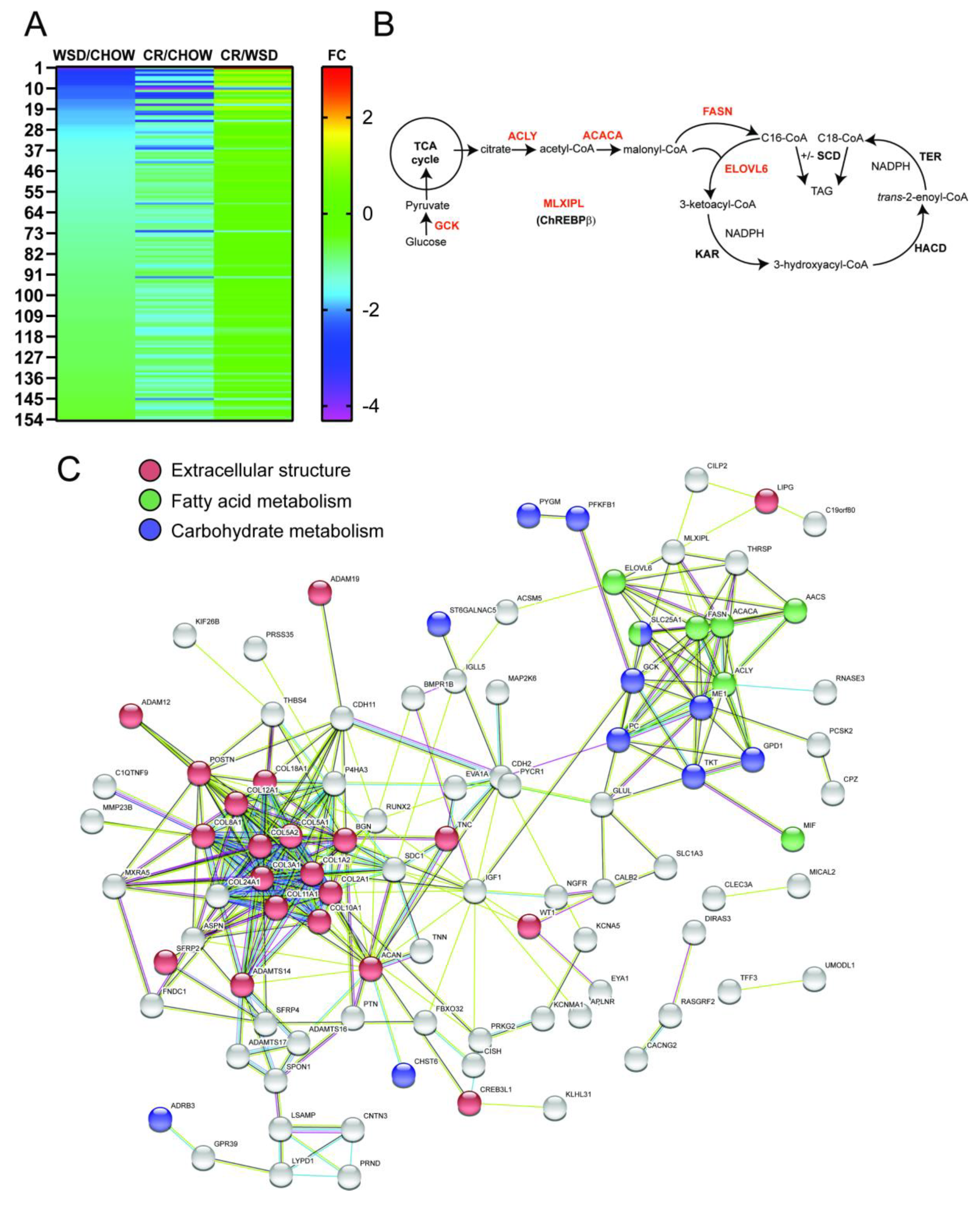 Nutrients 12 00511 g003