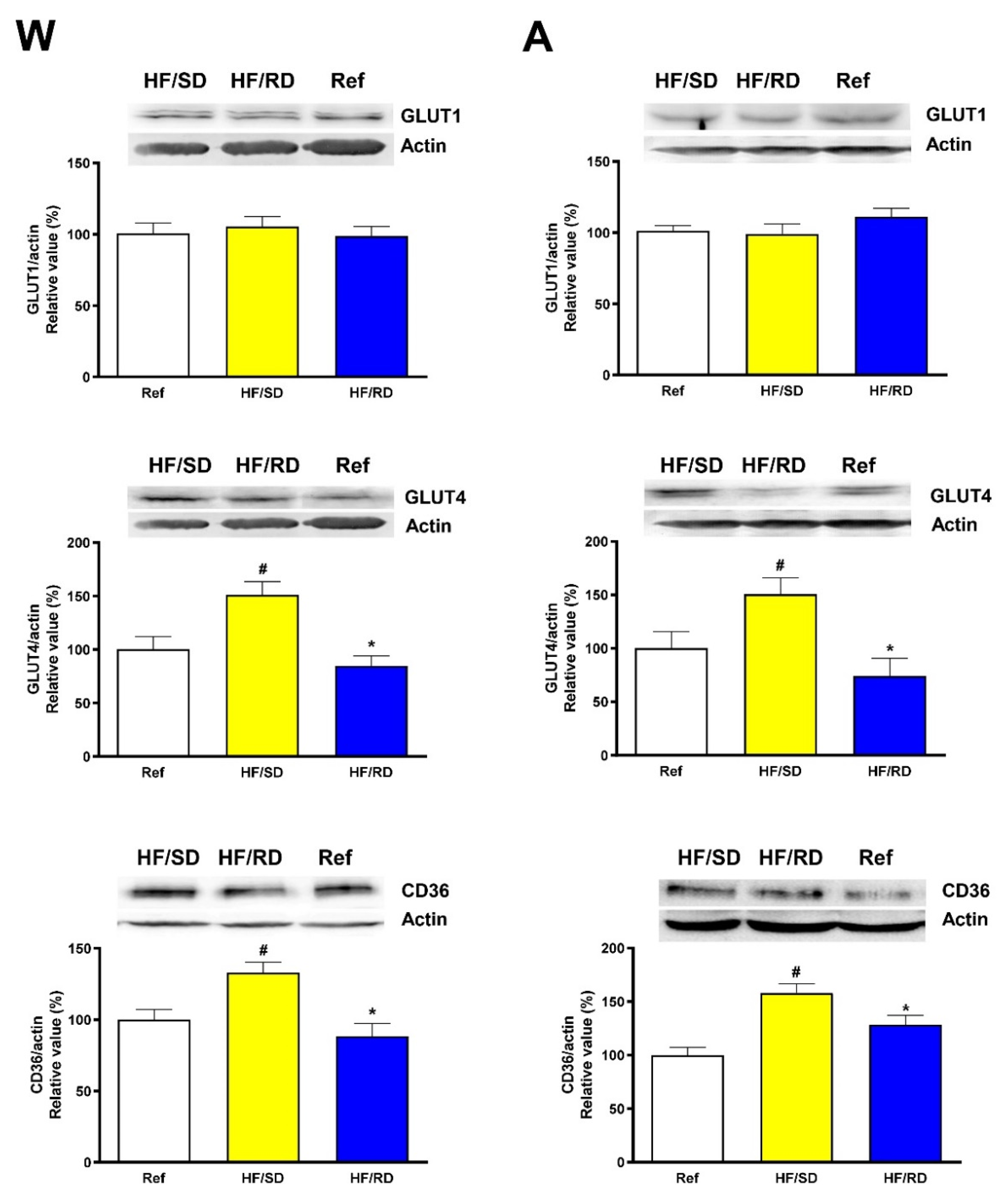 Nutrients 12 00528 g003 Nutrients 12 00528 g003